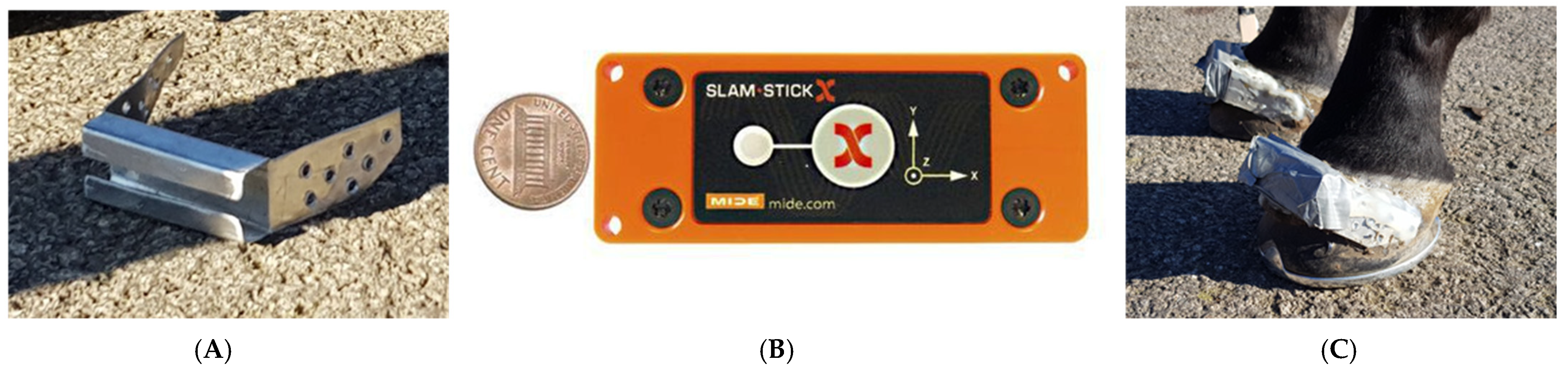 Animals 12 02161 g001