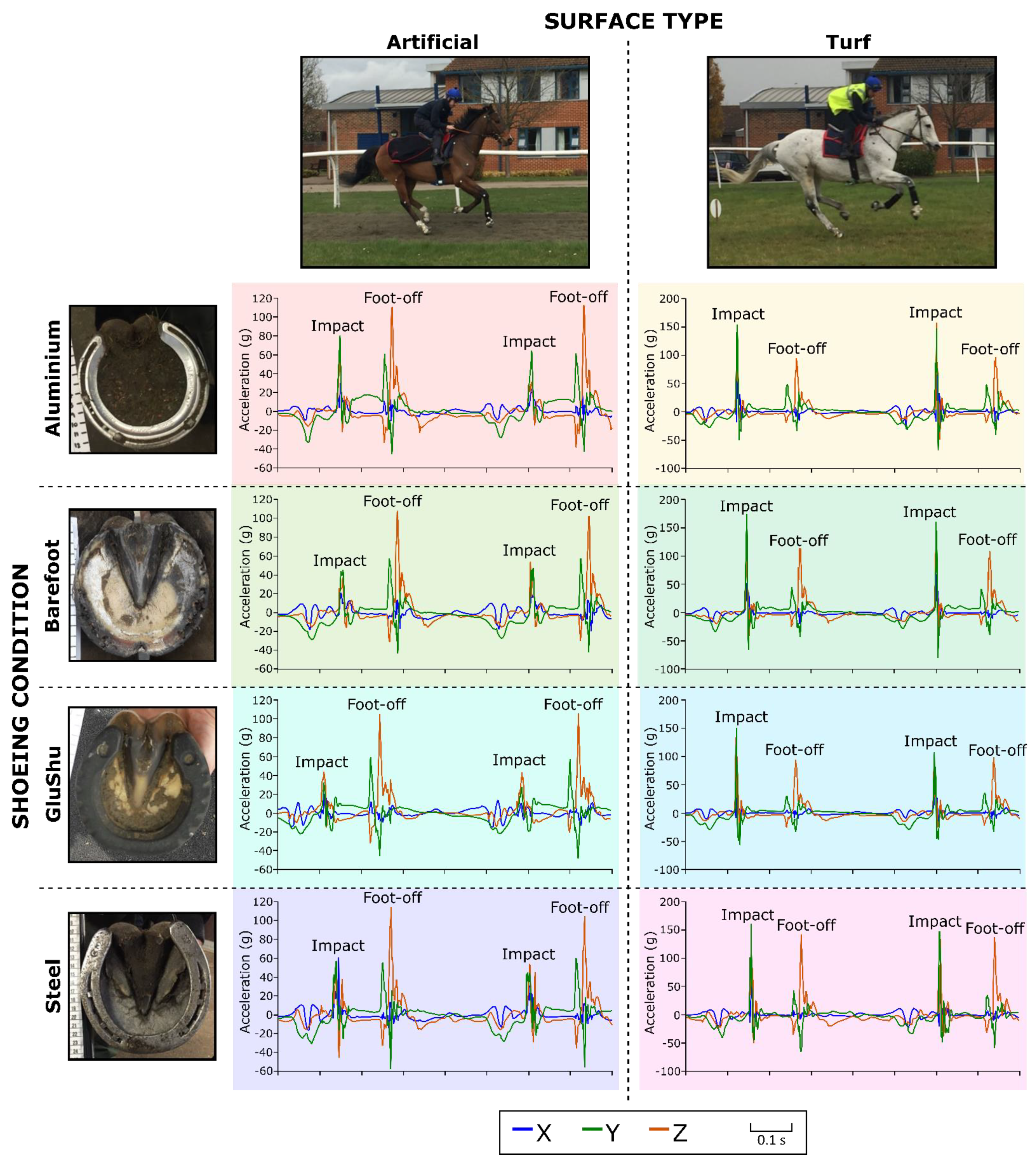 Animals 12 02161 g002