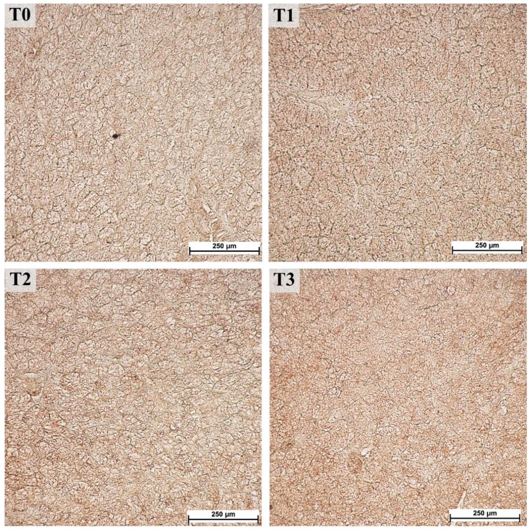 Animals 12 02171 g005