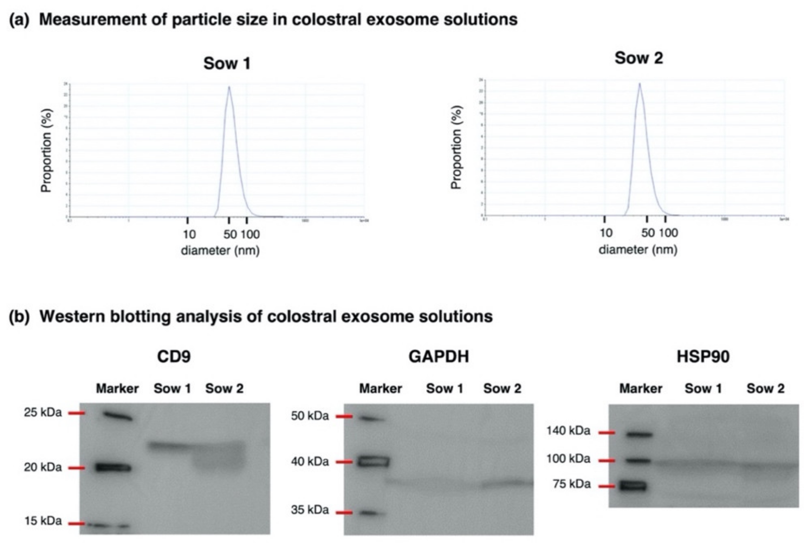 Animals 12 02172 g001 550