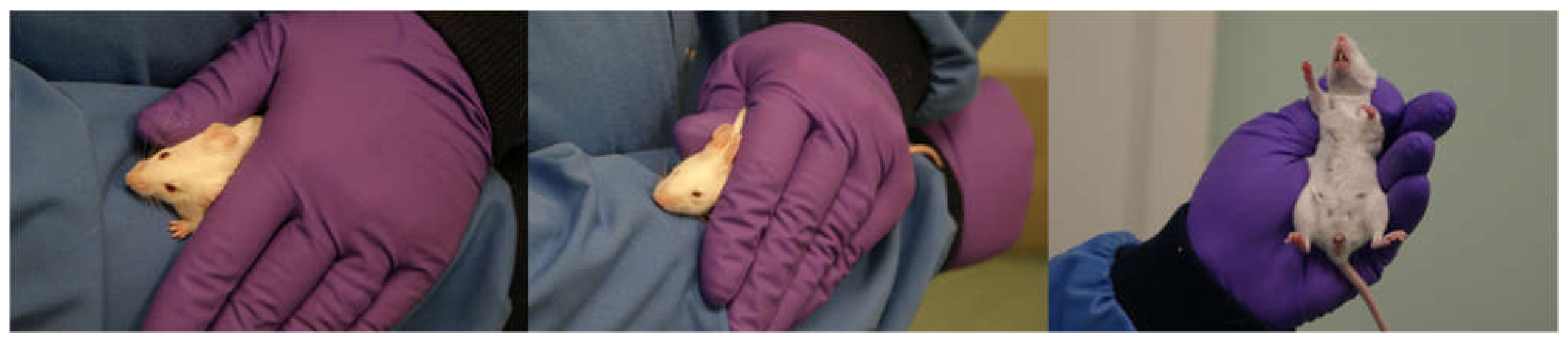 Animals 12 02173 g002