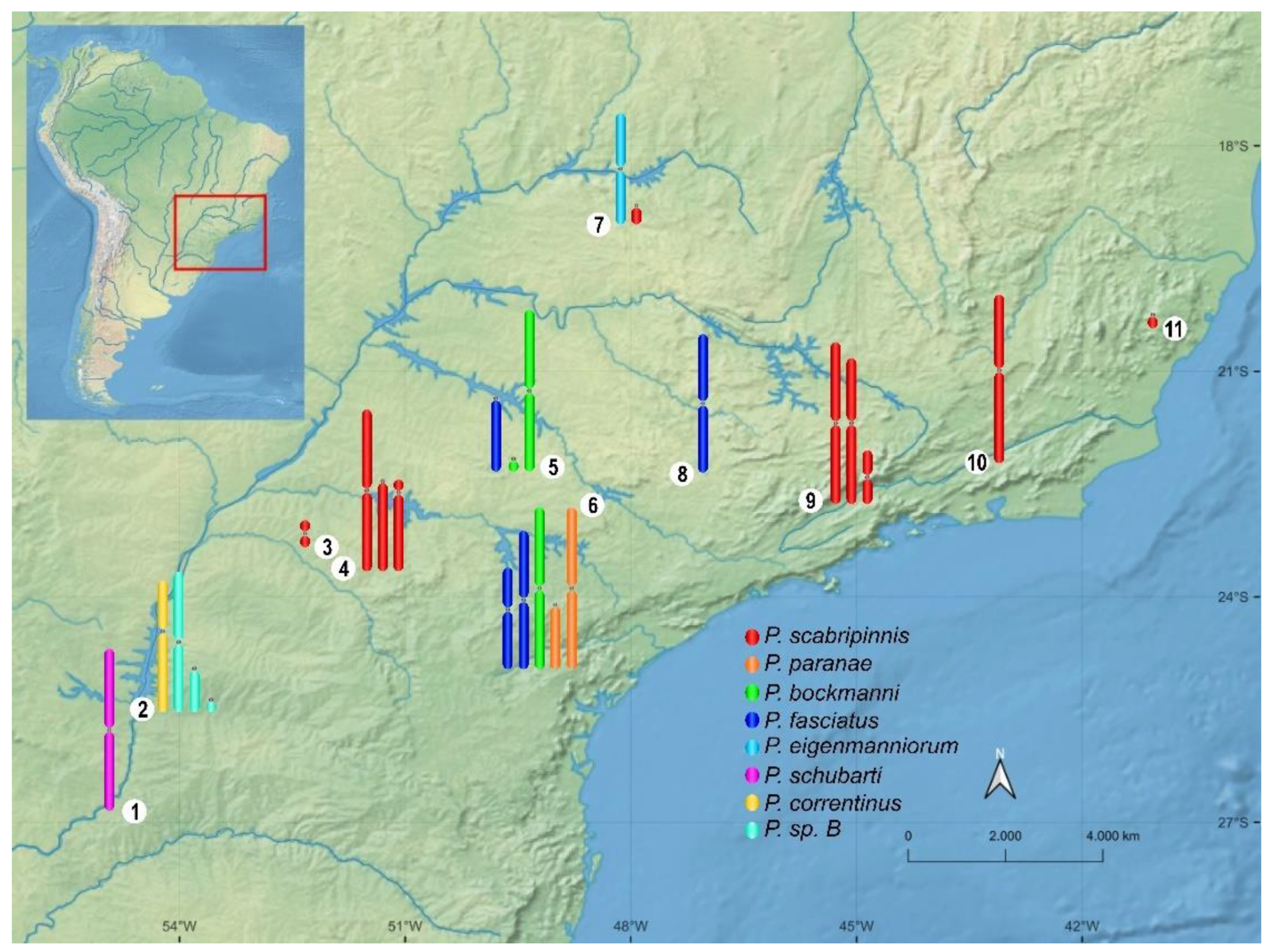 Animals 12 02174 g001 Animals 12 02174 g001