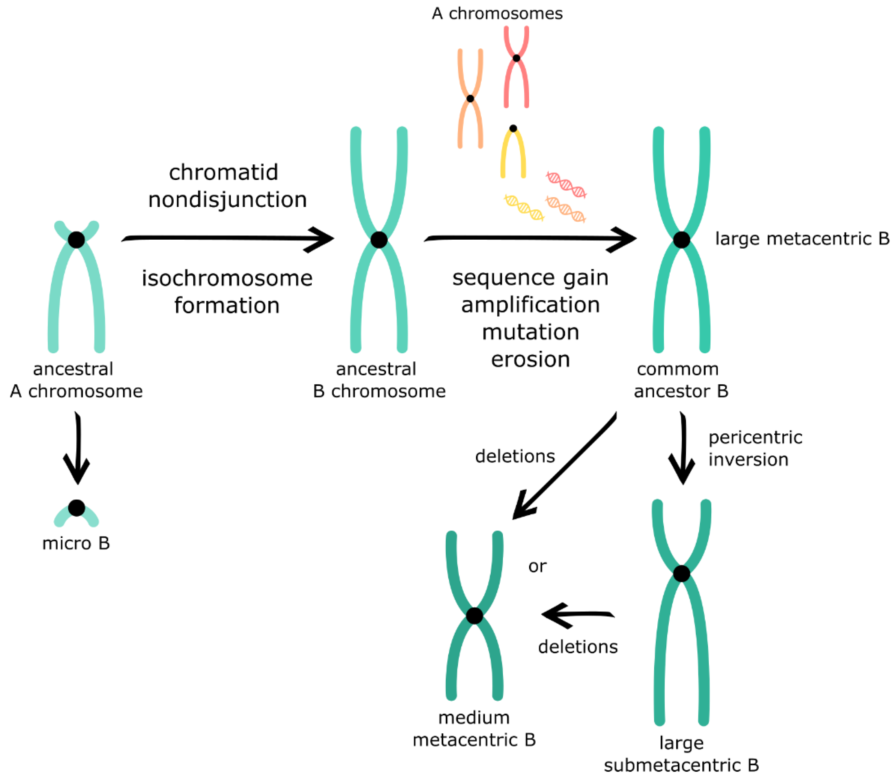 Animals 12 02174 g003 Animals 12 02174 g003