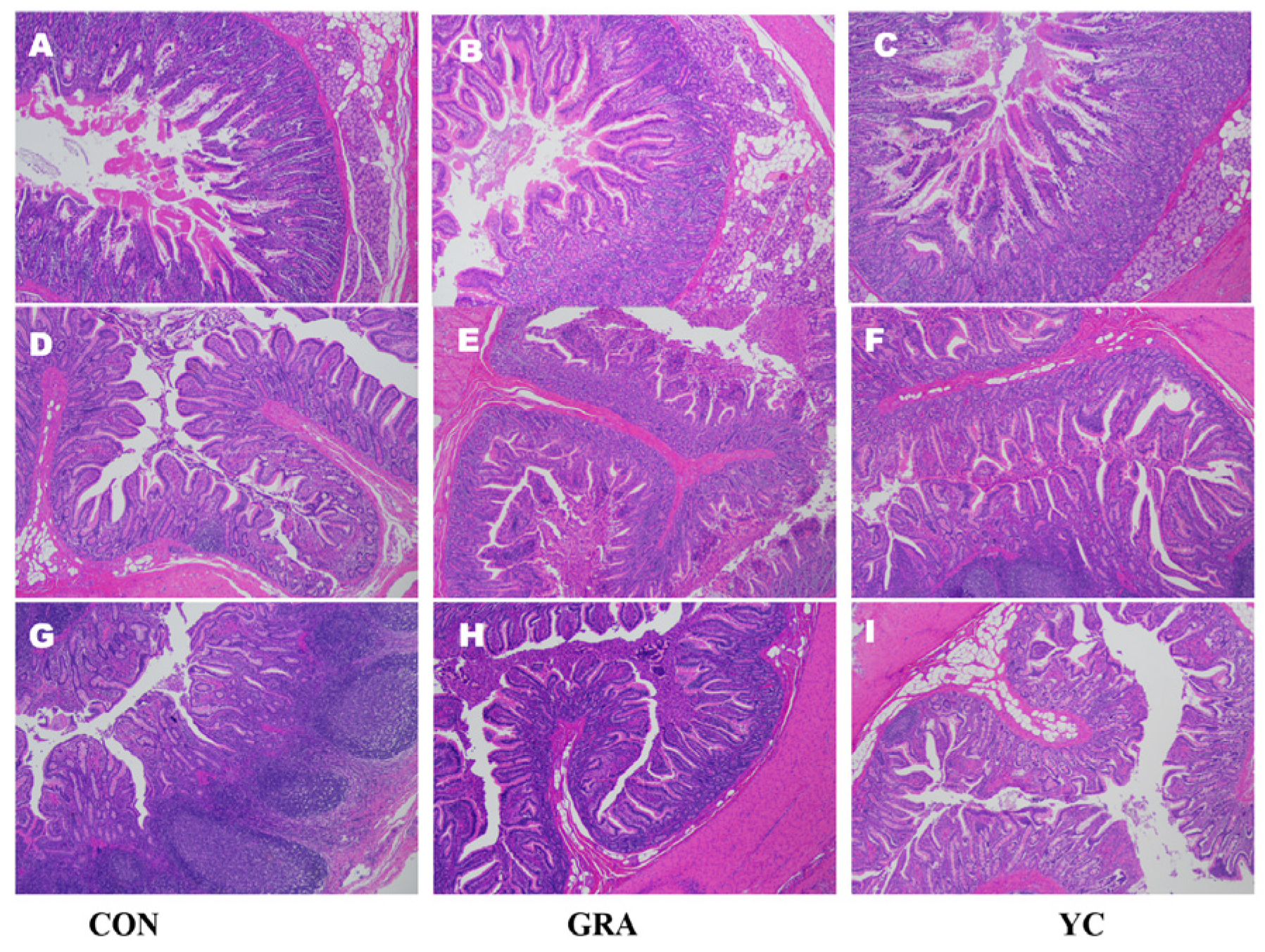 Animals 12 02177 g001 Animals 12 02177 g001