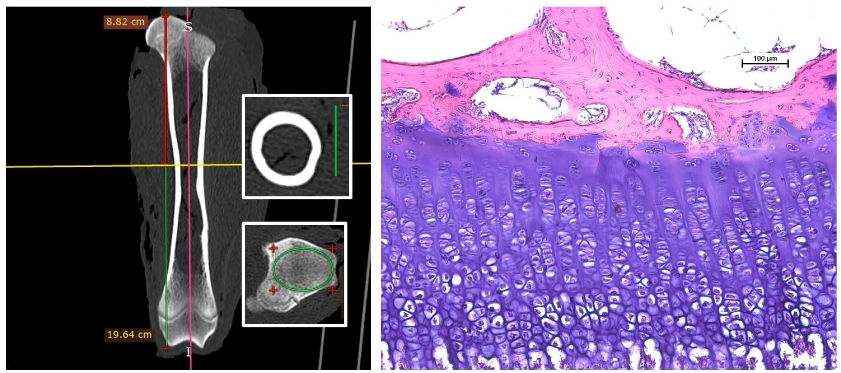 Animals 12 02179 g001 550