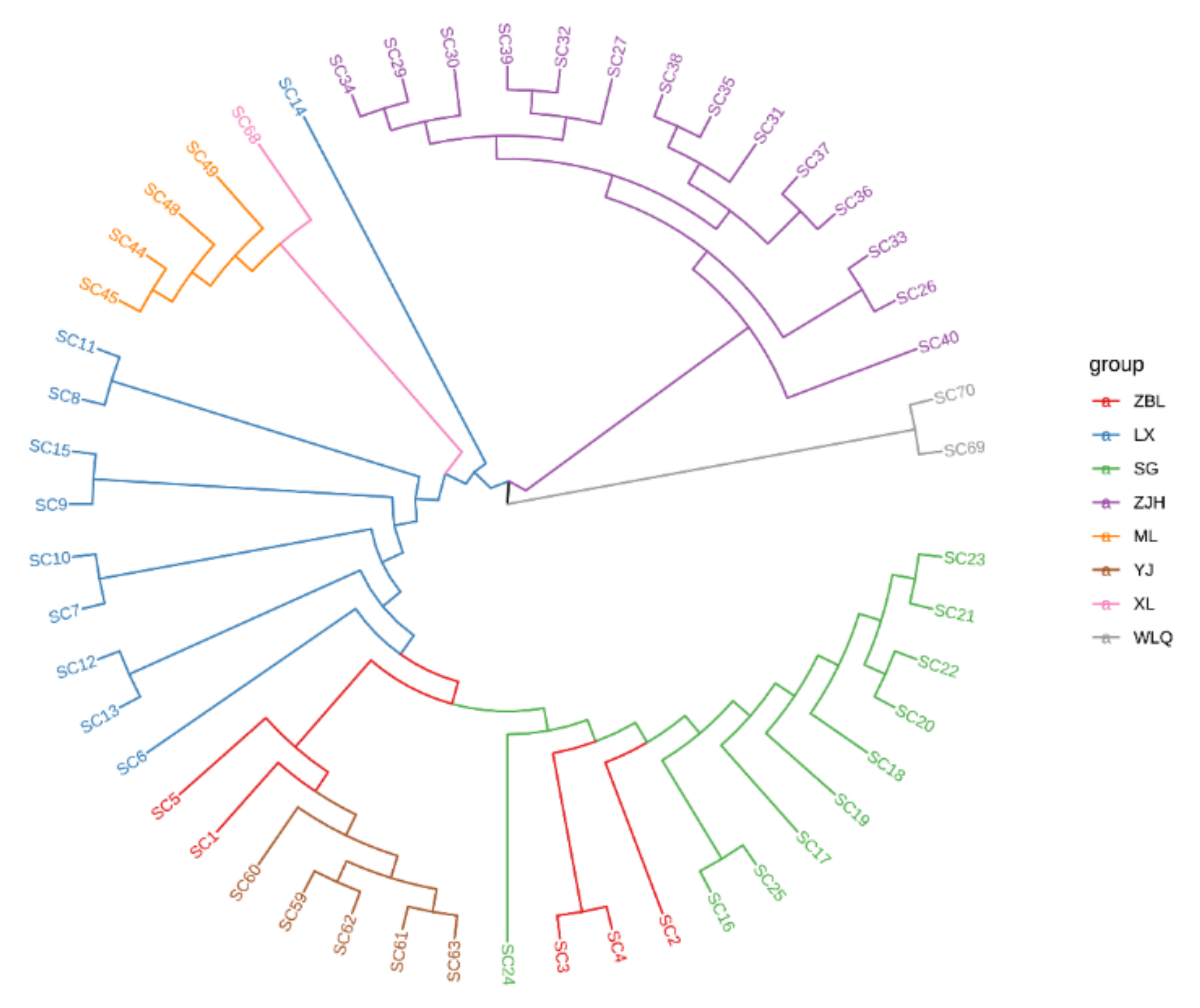 Animals 12 02181 g003