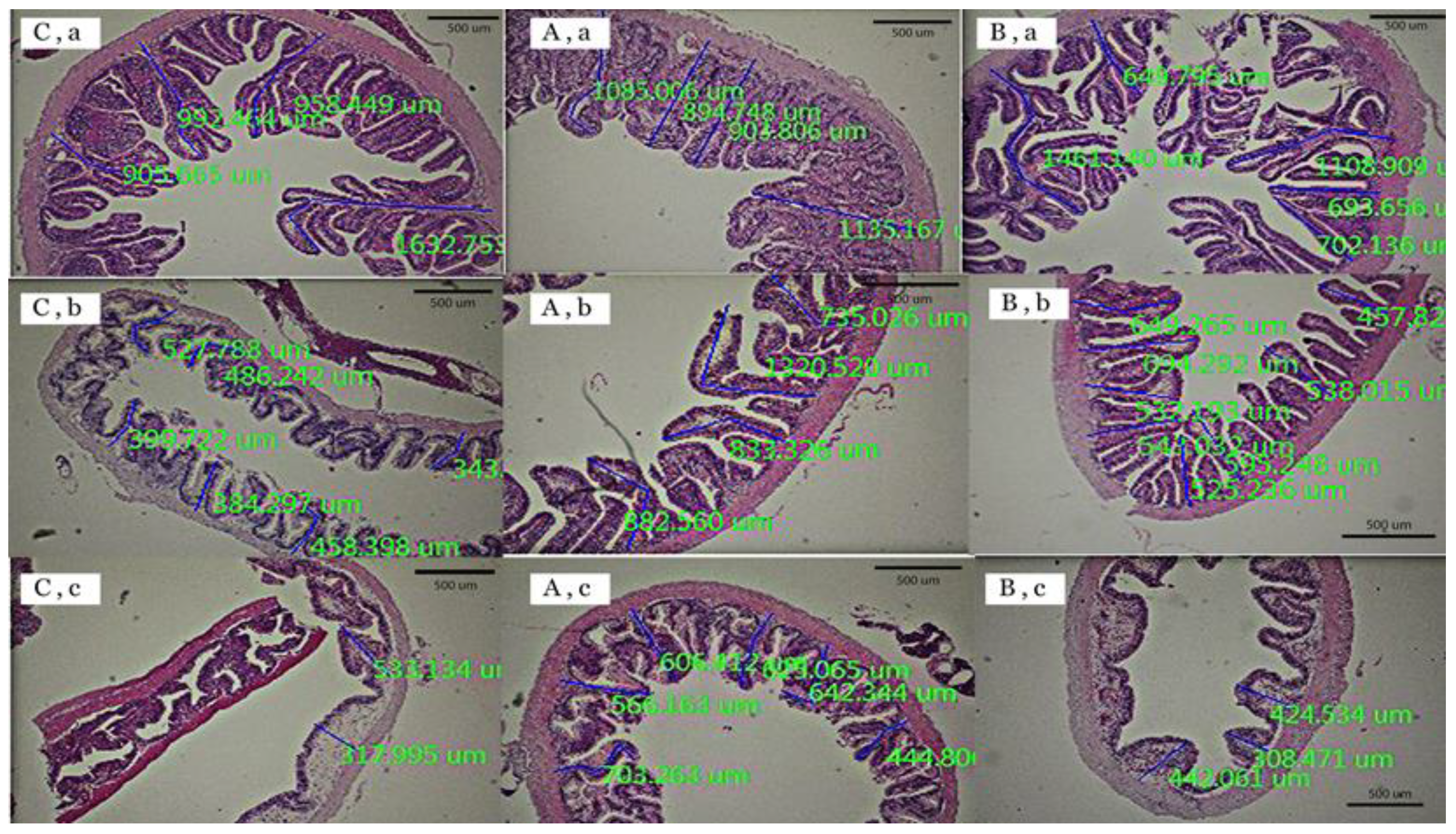 Animals 12 02182 g001 Animals 12 02182 g001