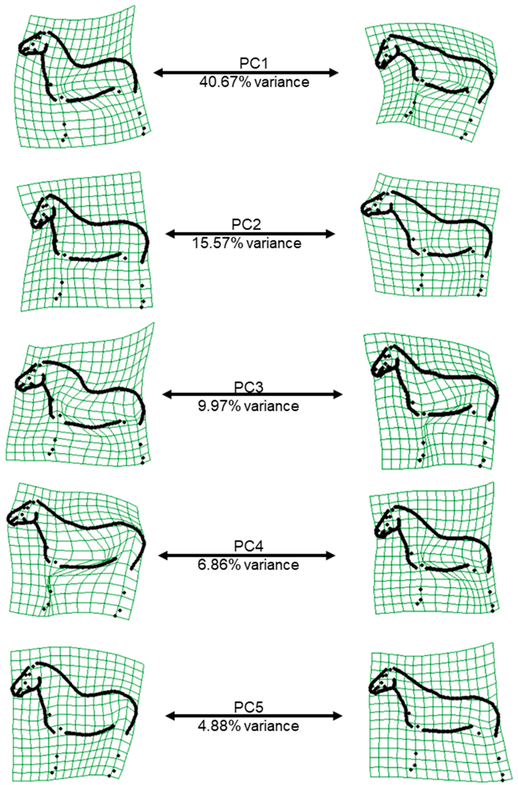 Animals 12 02186 g002 550