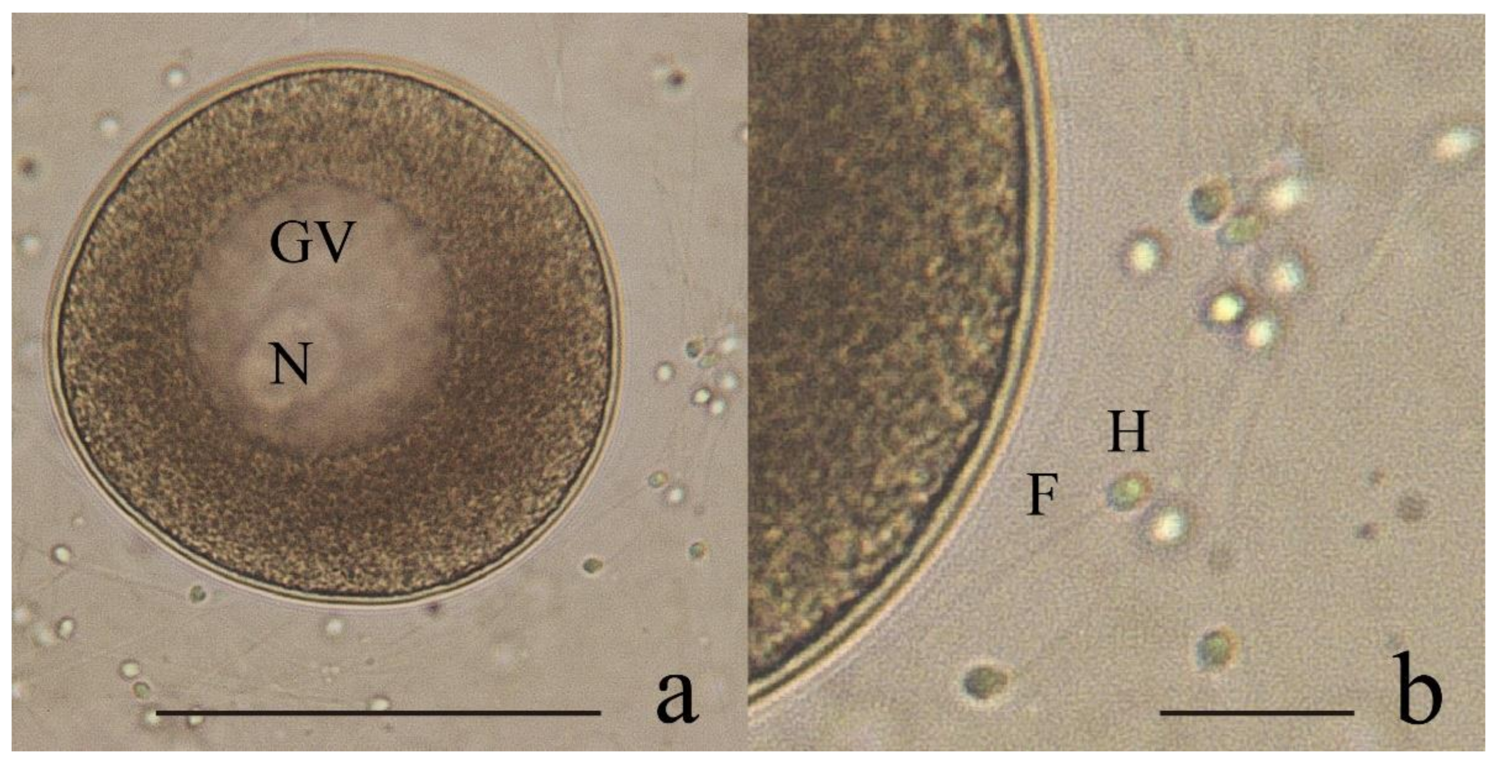 Animals 12 02192 g001 550