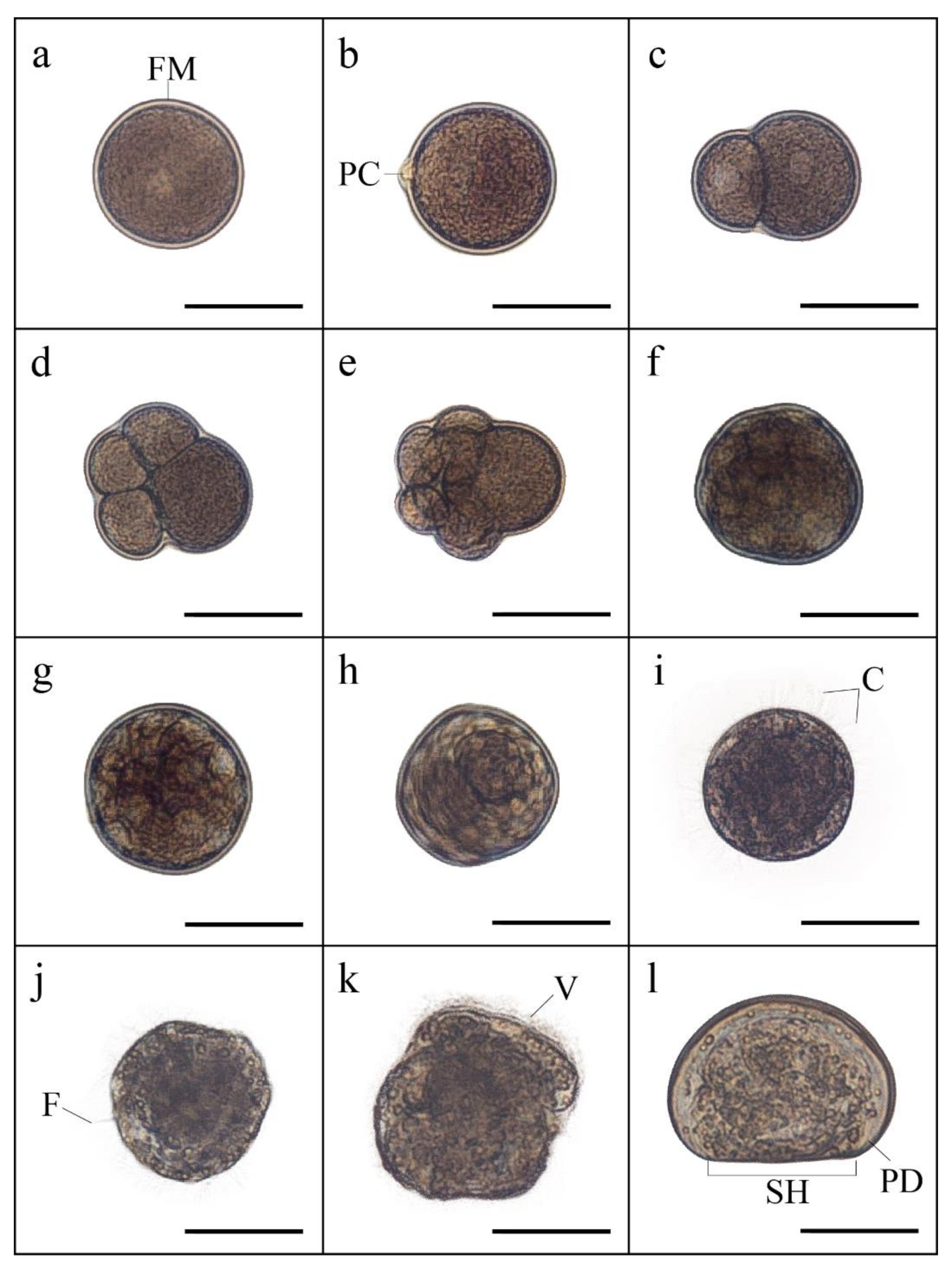 Animals 12 02192 g003 550