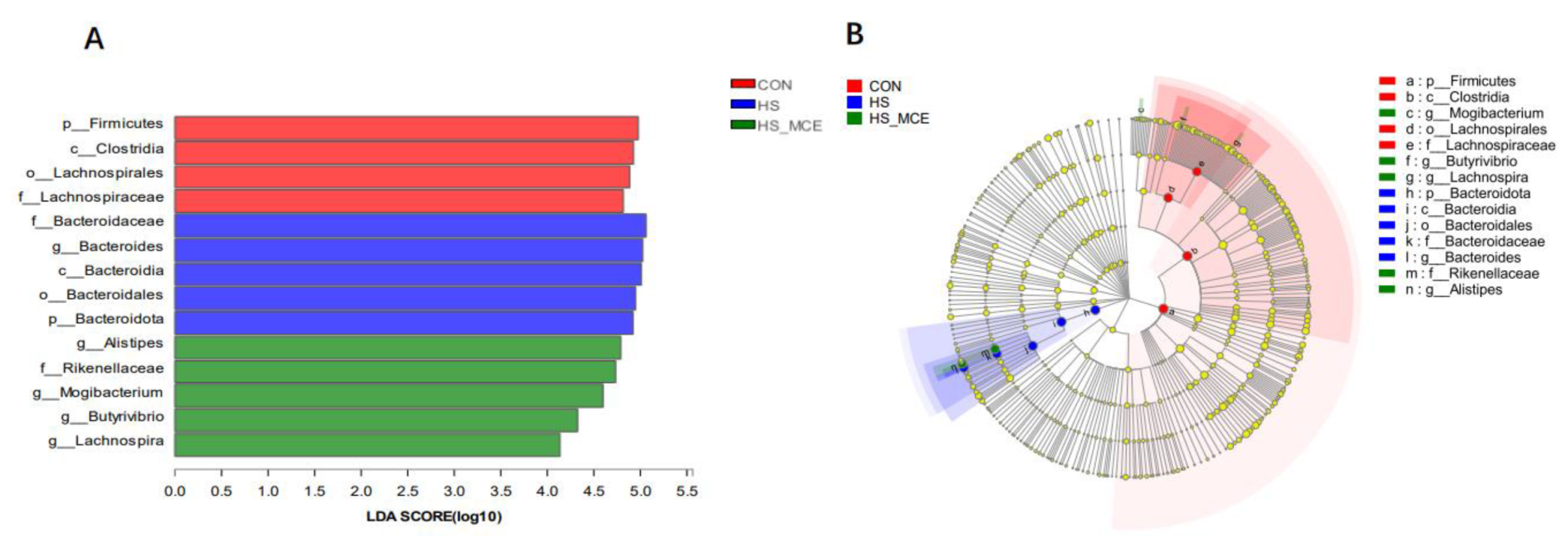 Animals 12 02197 g002 Animals 12 02197 g002