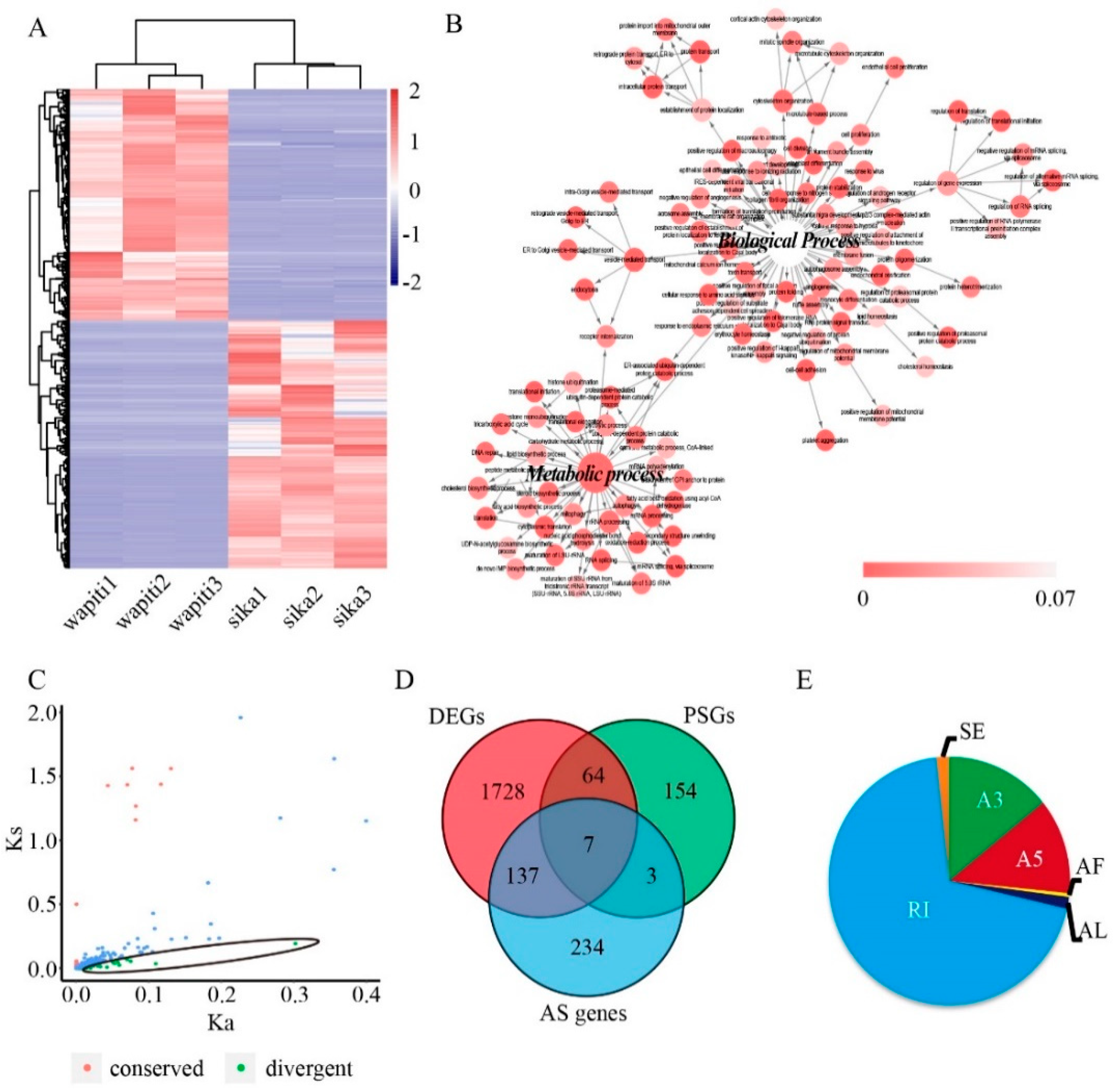 Animals 12 02203 g002