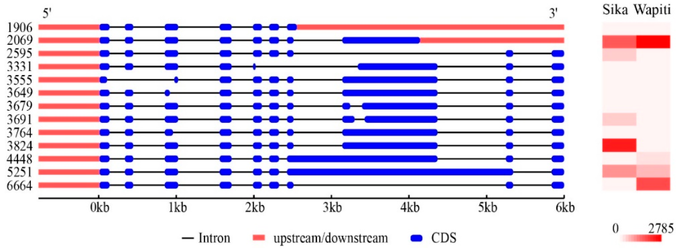 Animals 12 02203 g004