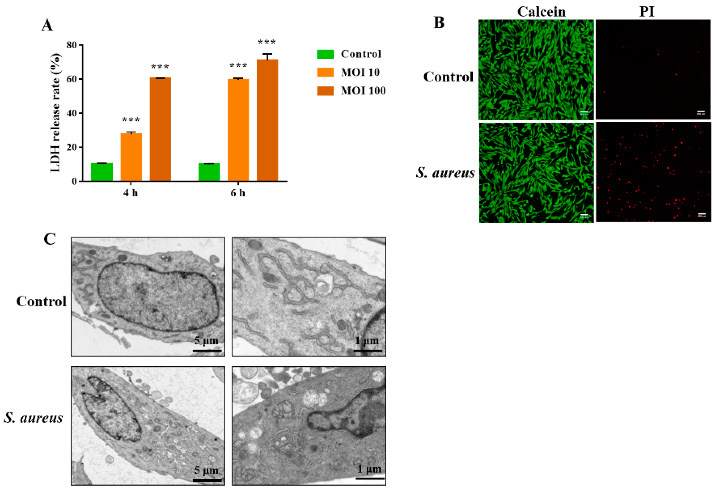 Animals 12 02218 g001