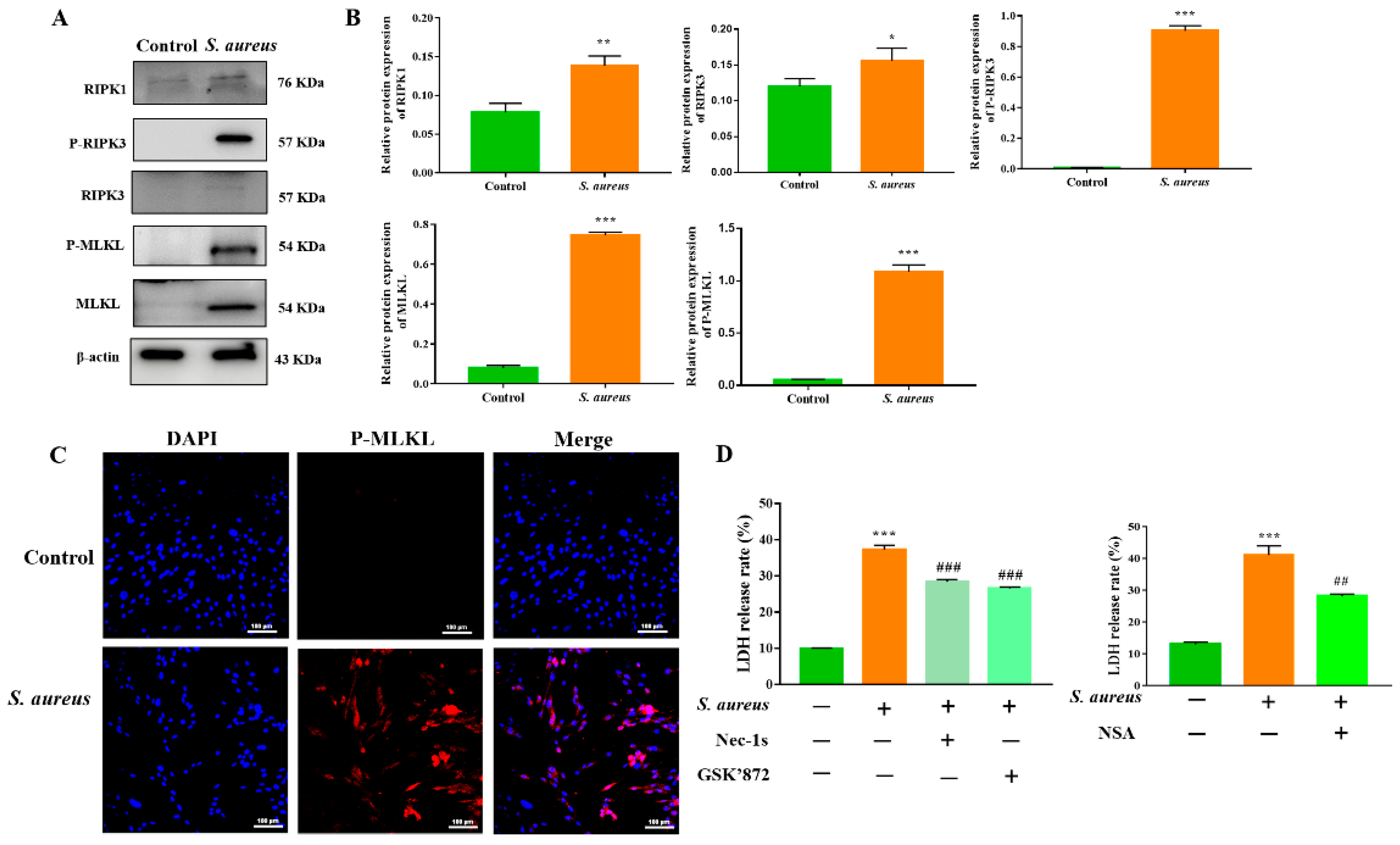 Animals 12 02218 g002