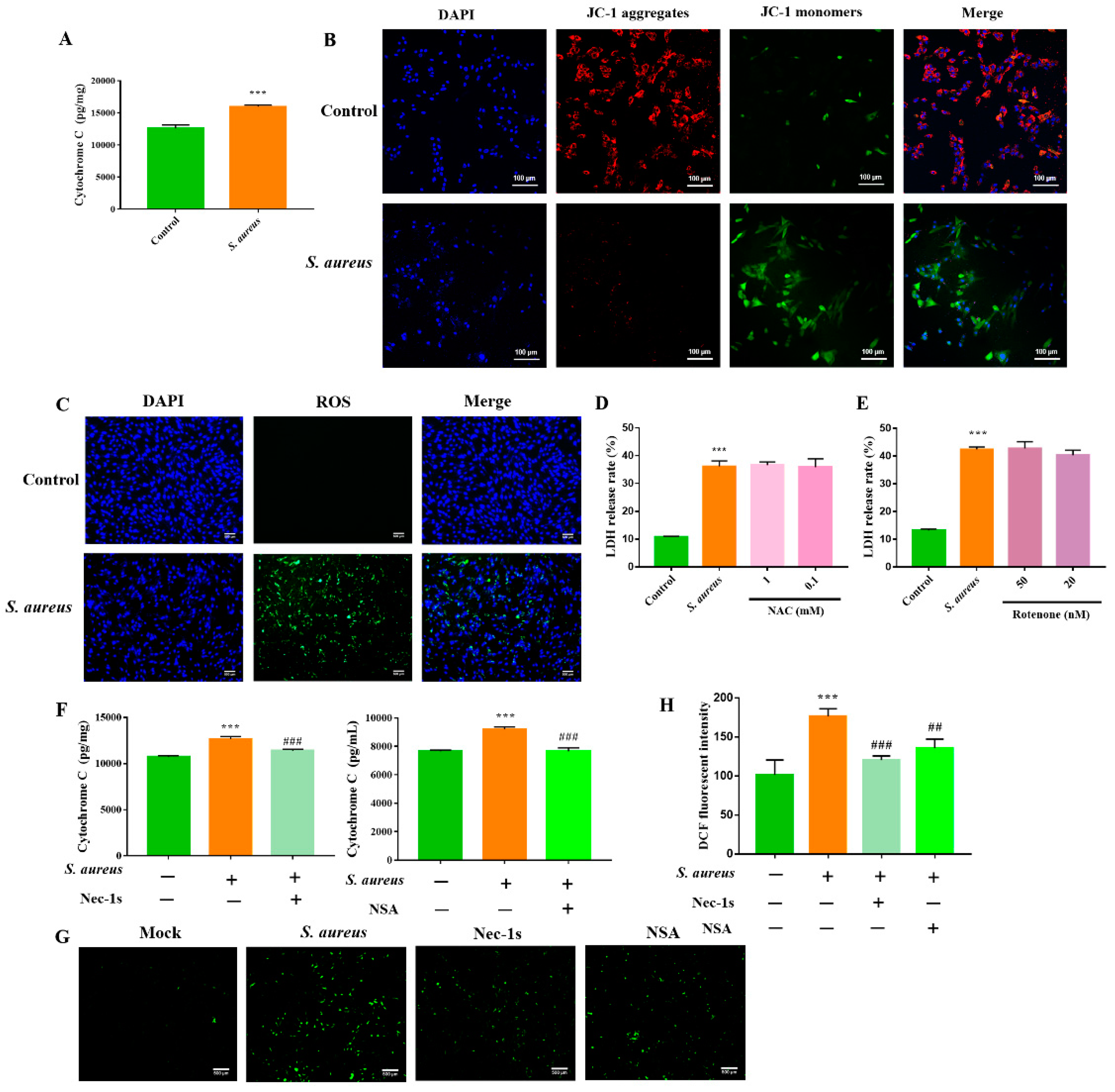 Animals 12 02218 g005