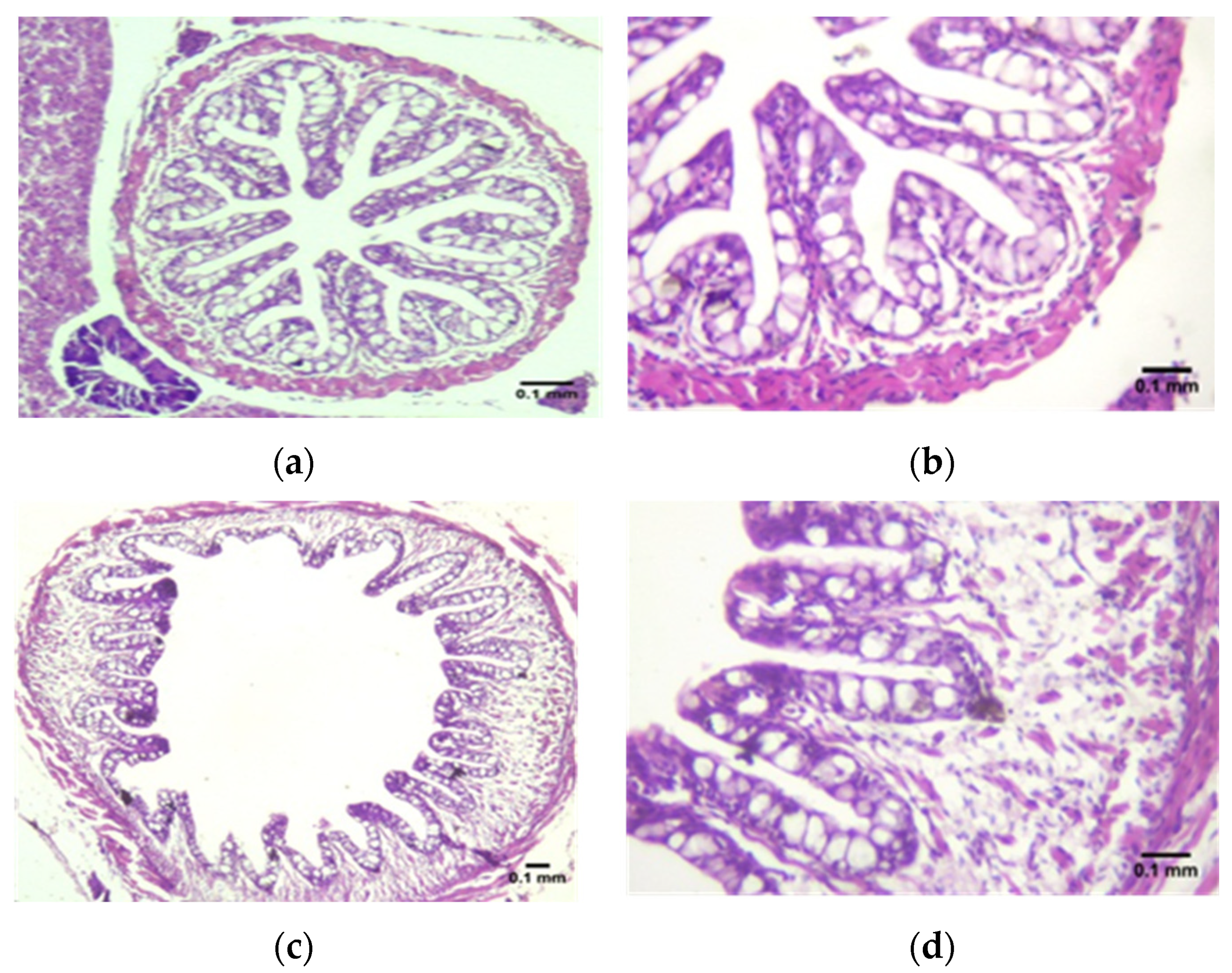 Animals 12 02219 g002a Animals 12 02219 g002a