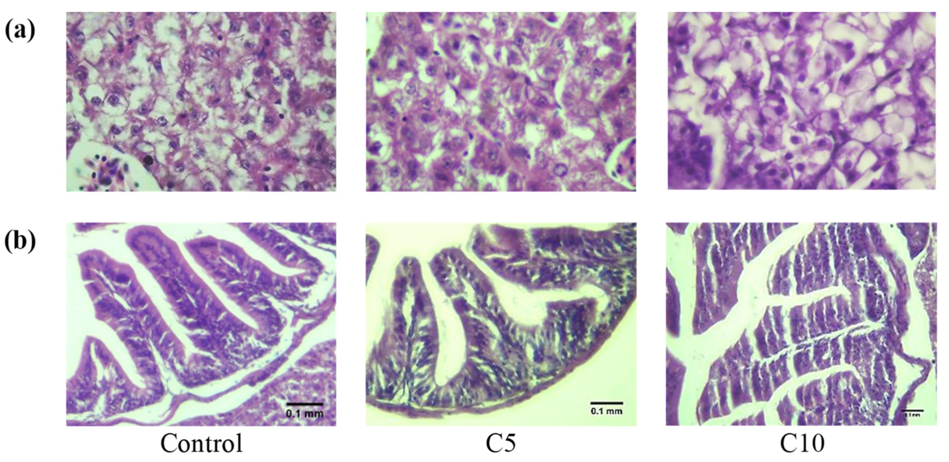 Animals 12 02219 g003 Animals 12 02219 g003