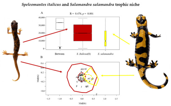 https://www.mdpi.com/animals/animals-12-02221/article_deploy/html/images/animals-12-02221-g001-550.jpg