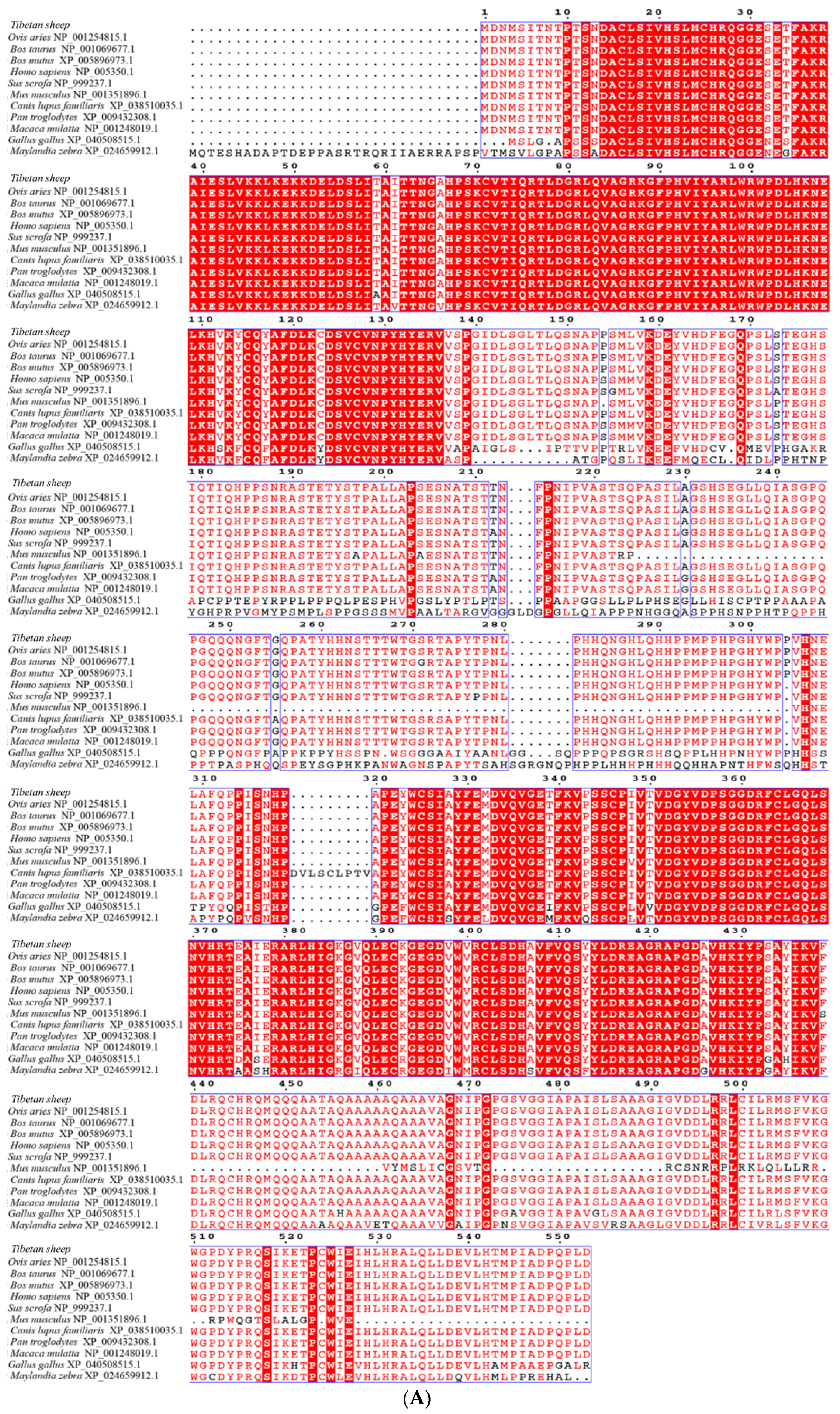 Animals 12 02232 g002a