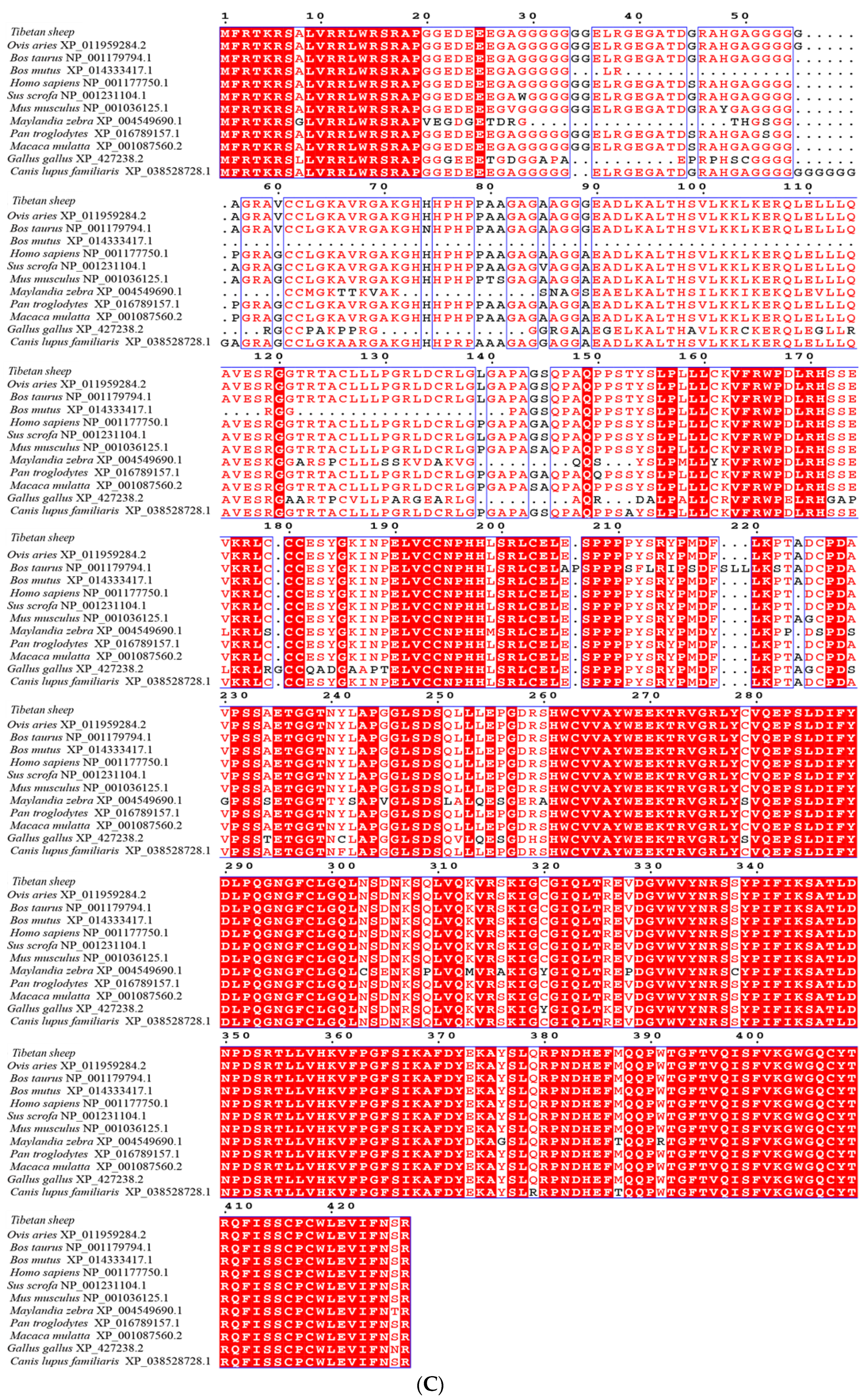 Animals 12 02232 g002c