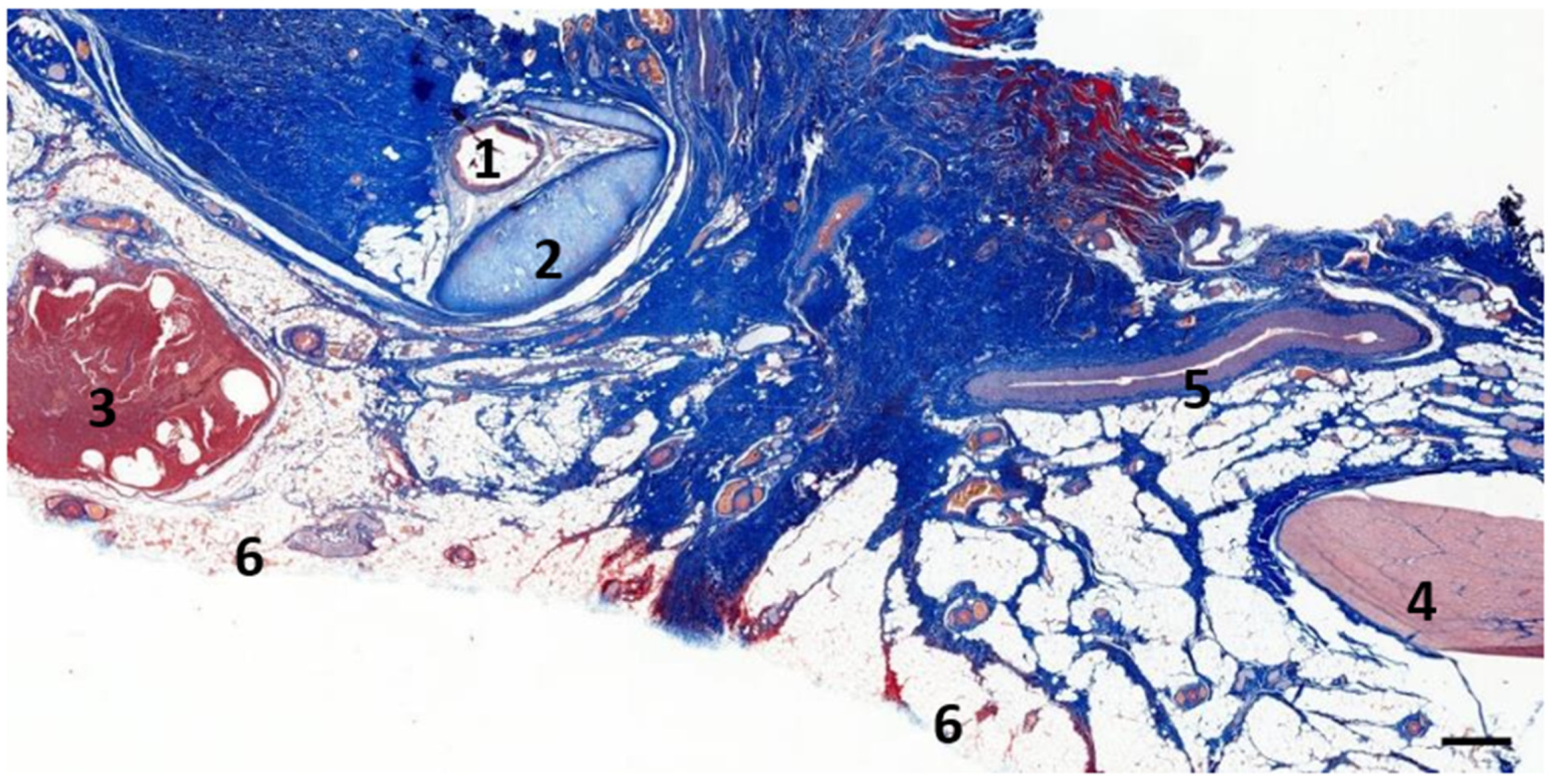 Animals 12 02235 g002