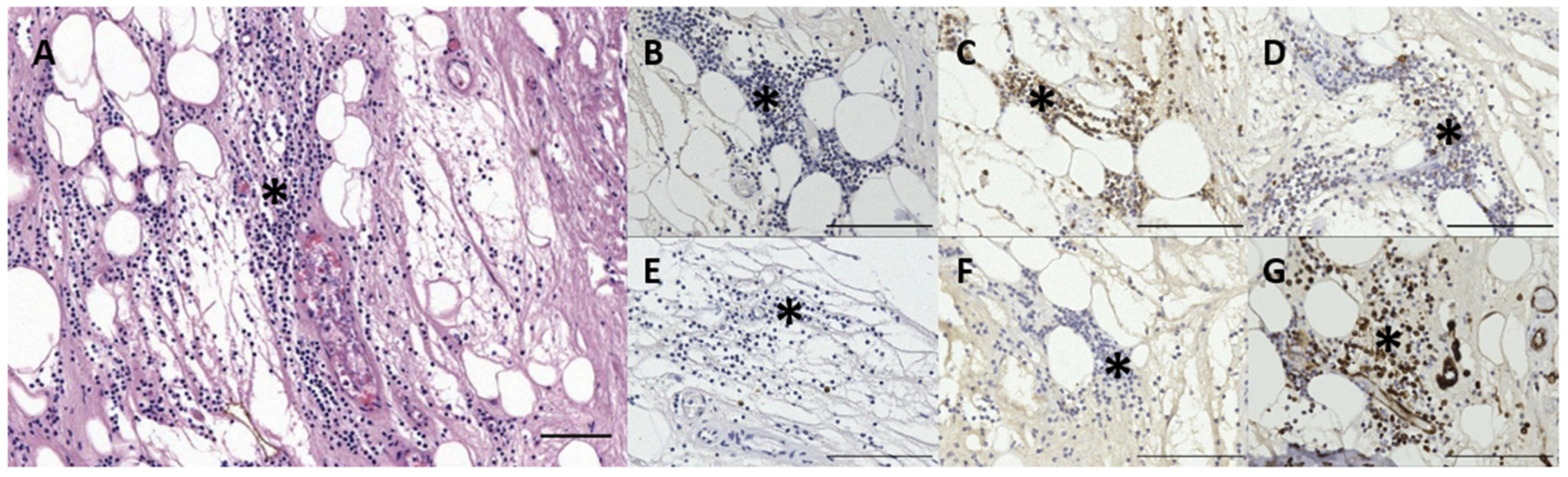 Animals 12 02235 g003