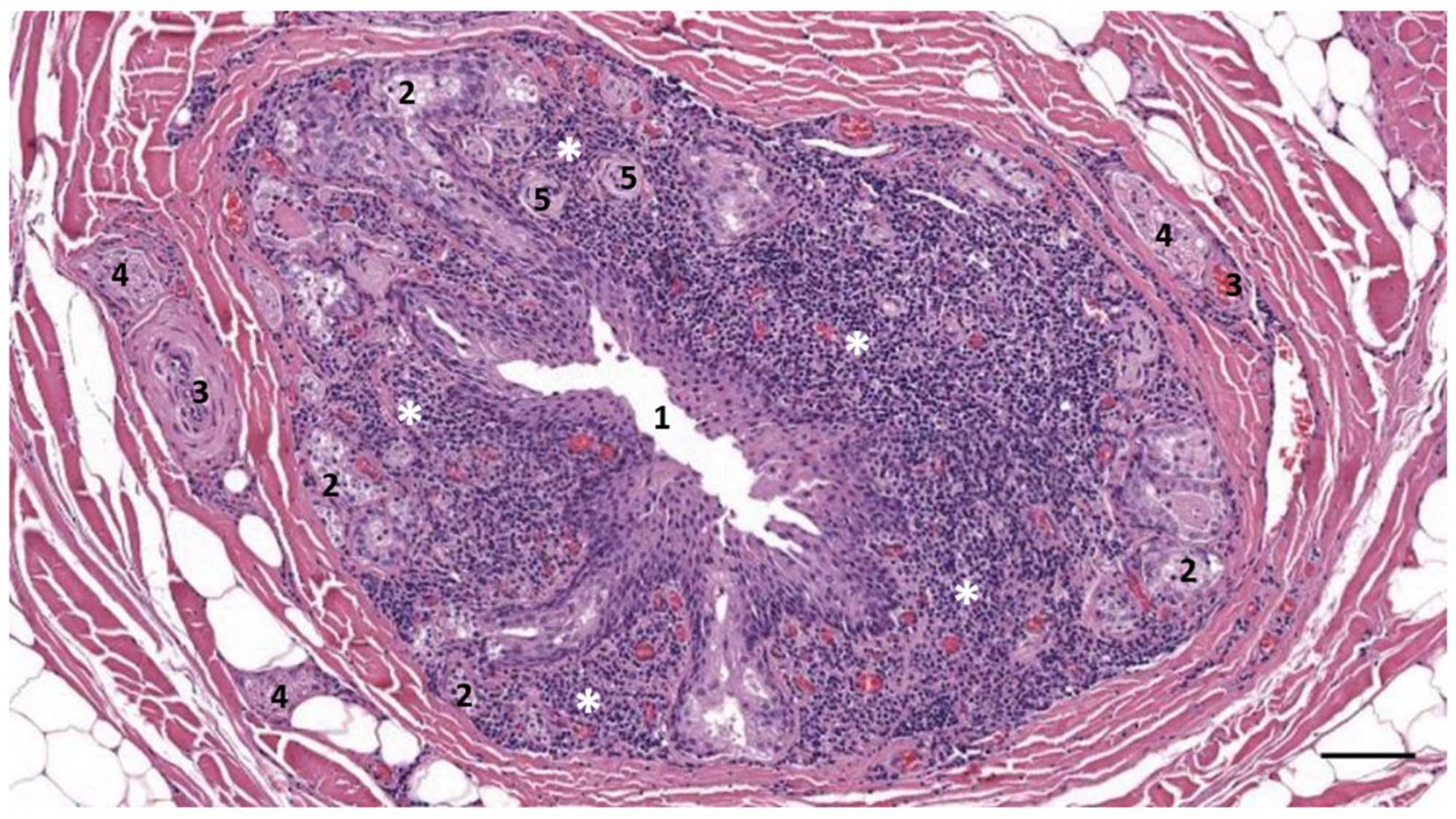 Animals 12 02235 g004