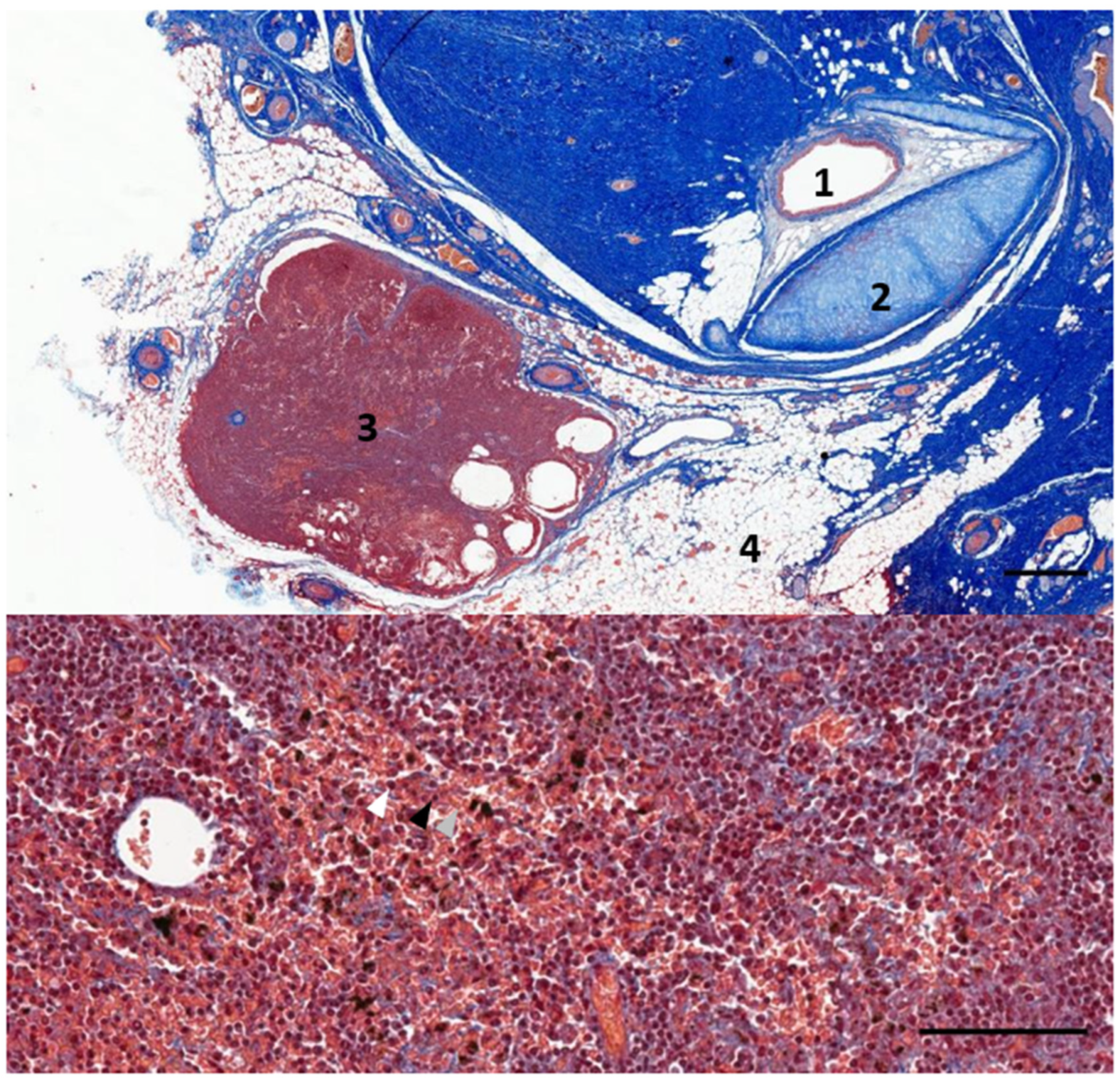 Animals 12 02235 g009