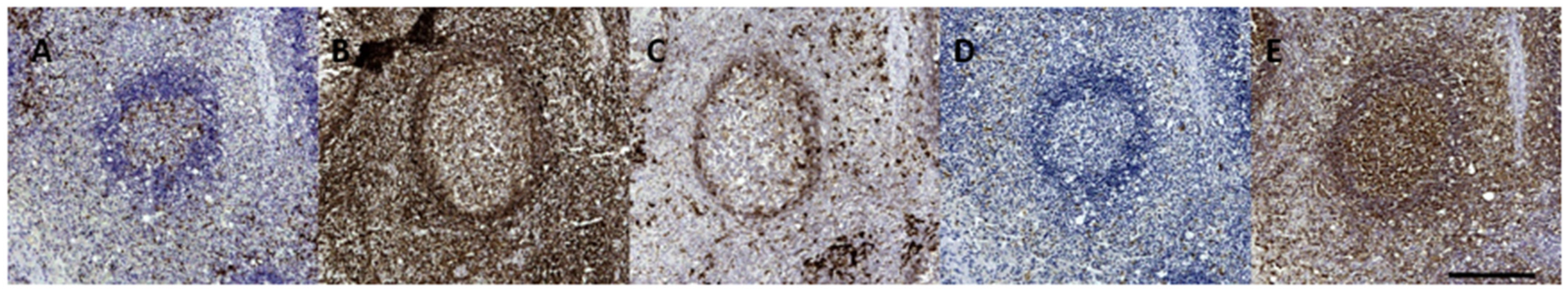 Animals 12 02235 g011