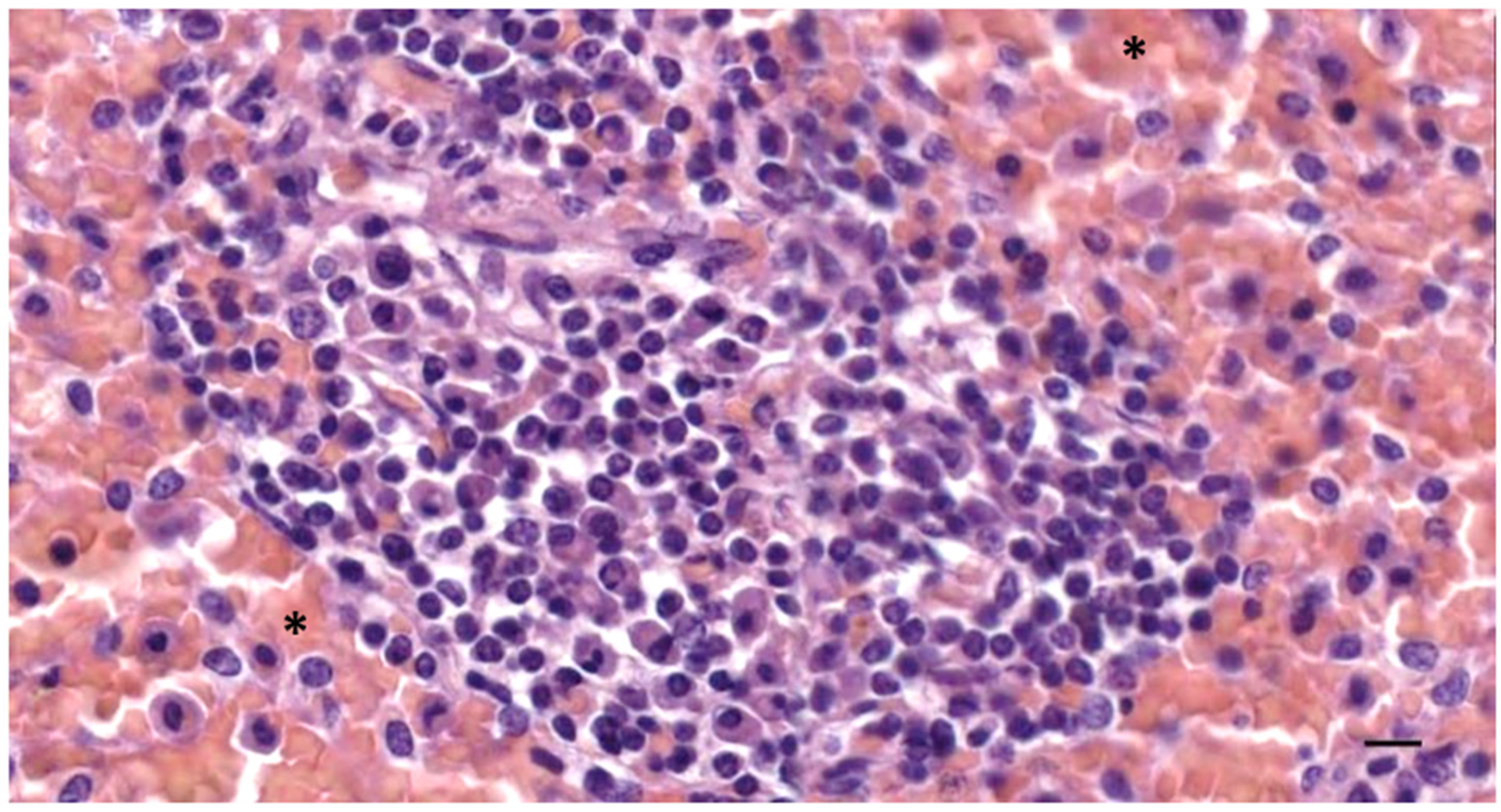 Animals 12 02235 g012