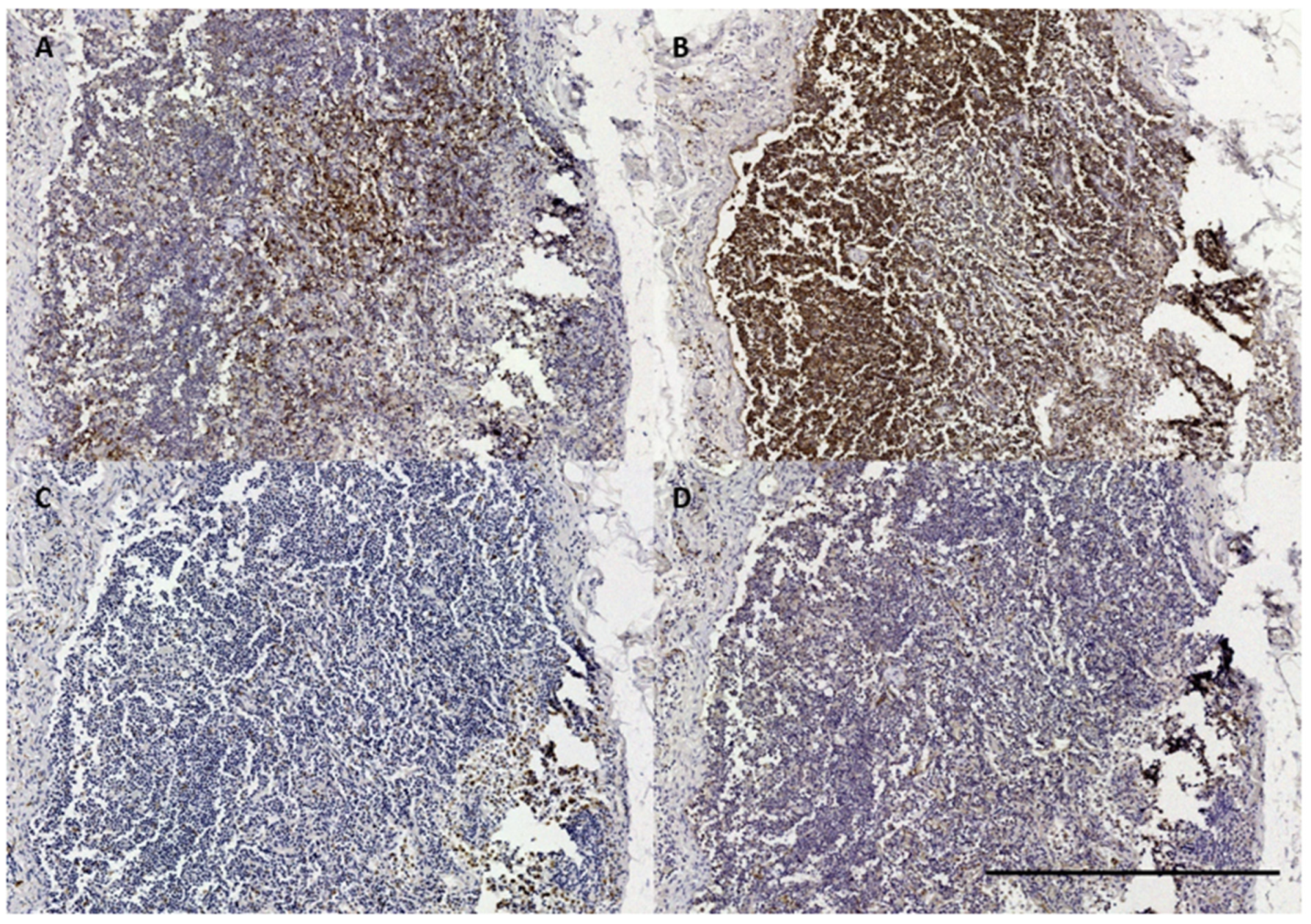 Animals 12 02235 g013