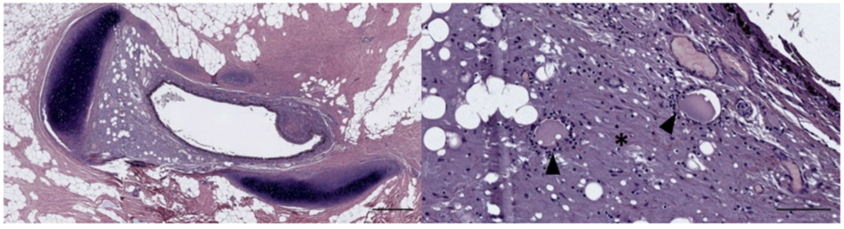 Animals 12 02235 g014