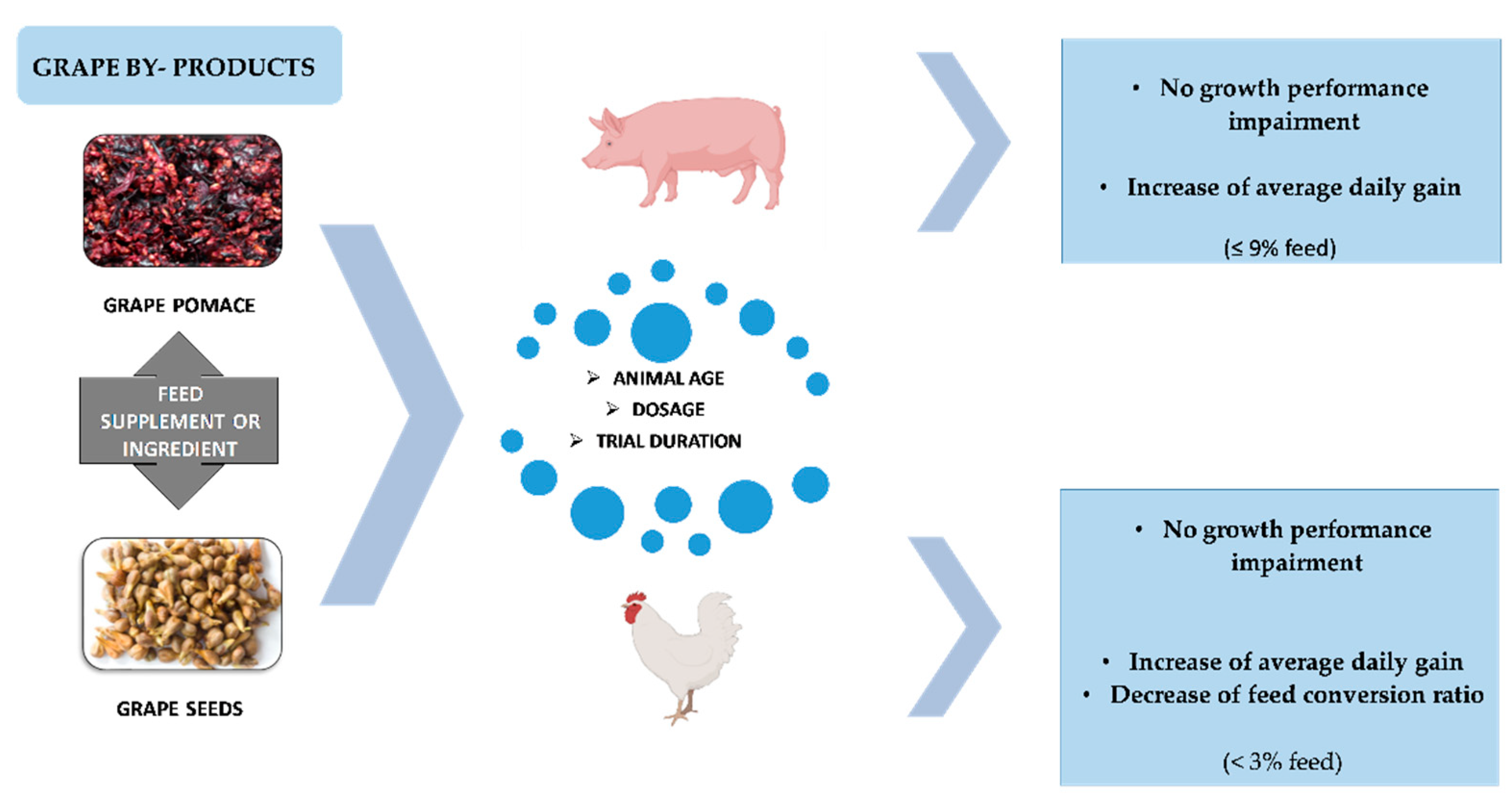 Animals | Free Full-Text | Grape By-Products as Feedstuff for Pig and  Poultry Production
