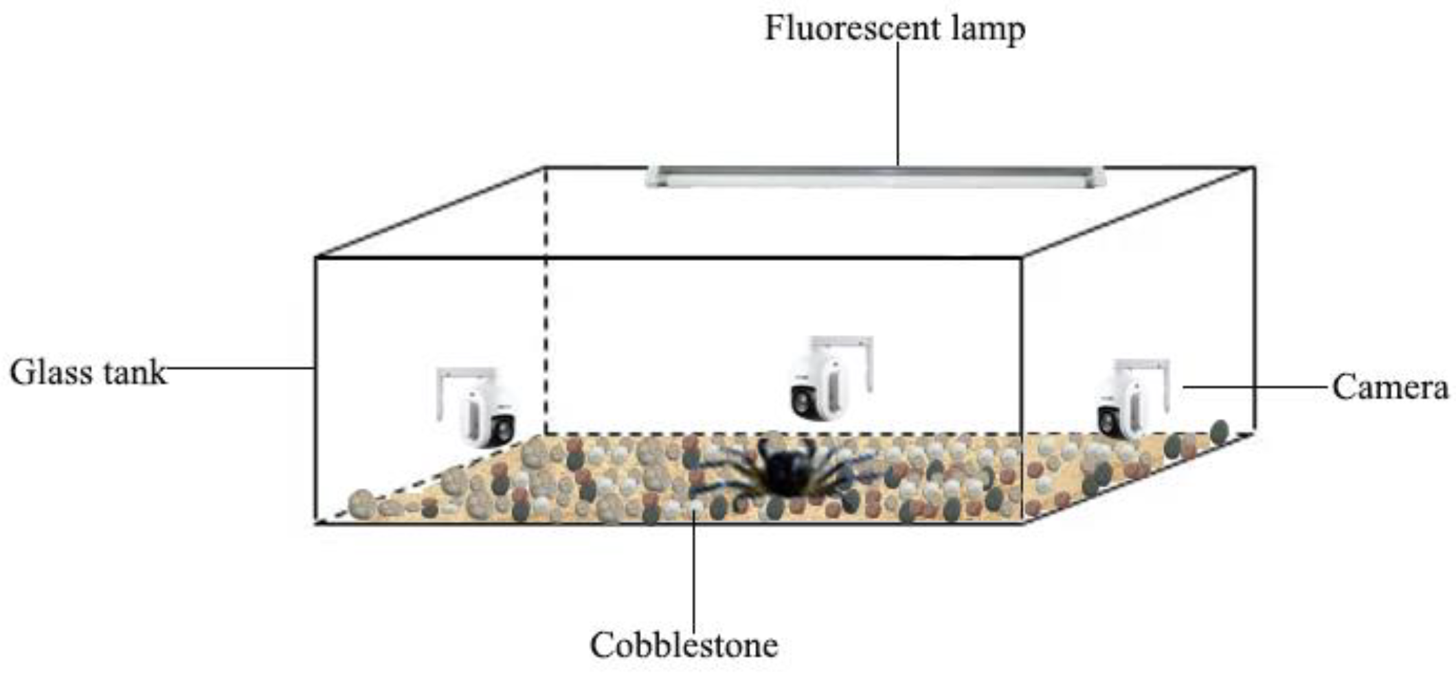 Animals 12 02244 g001