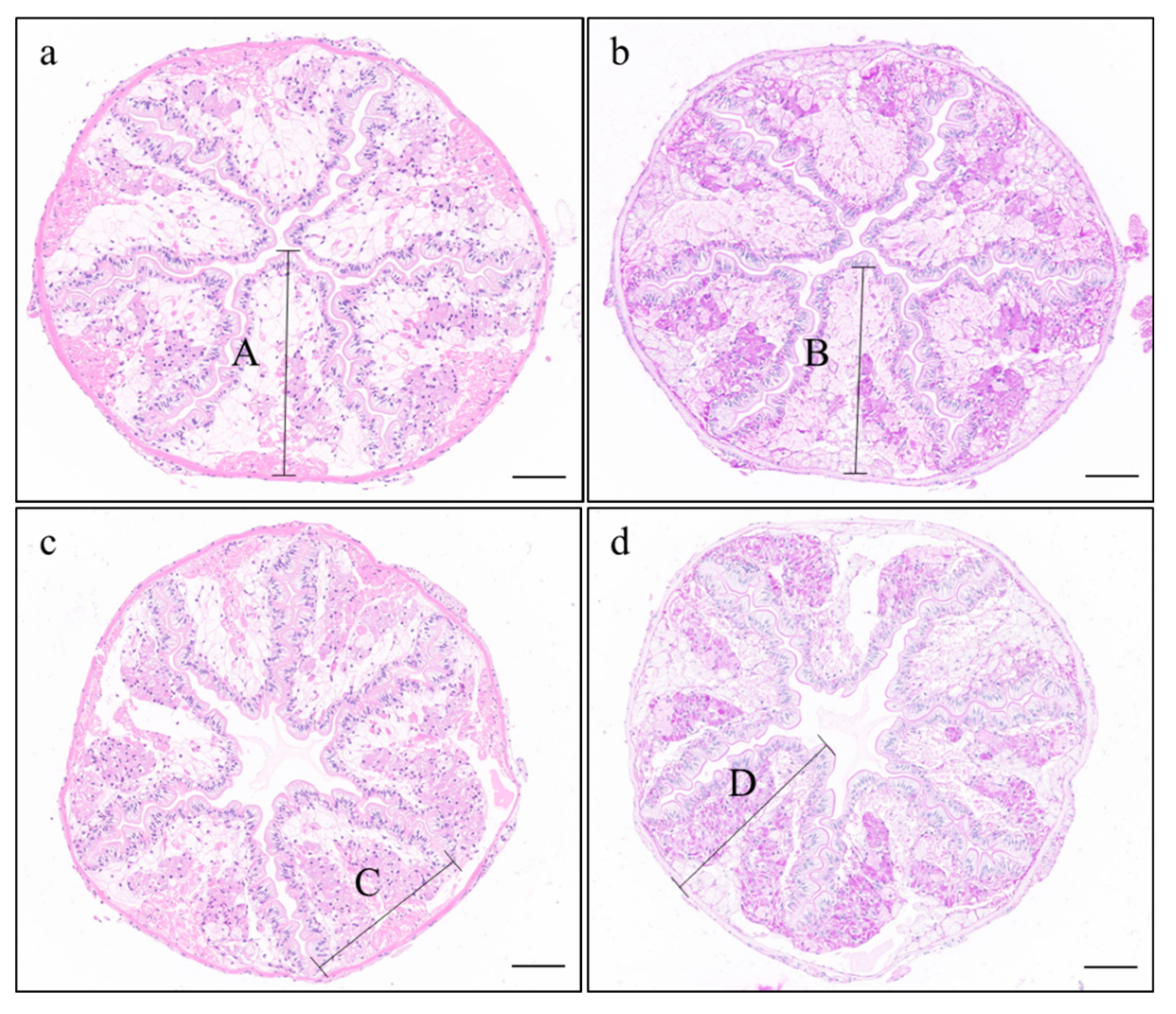 Animals 12 02252 g001 550
