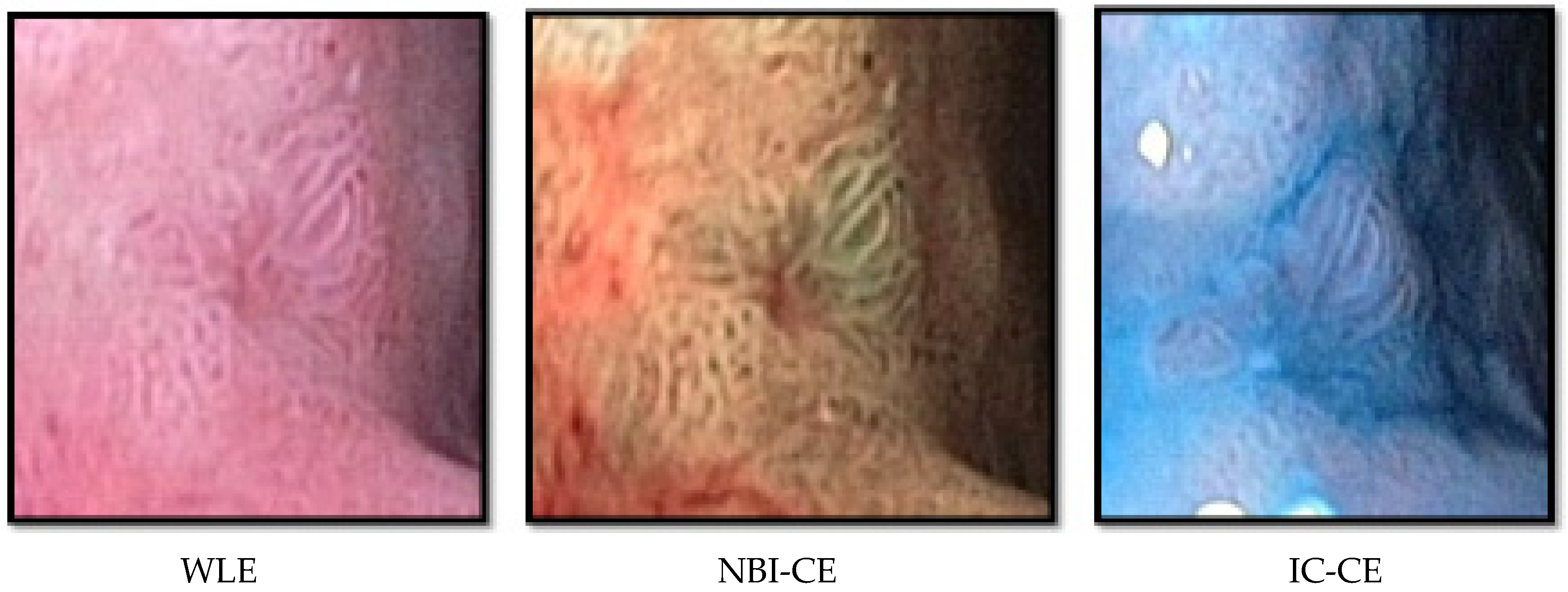 Animals 12 02253 g002