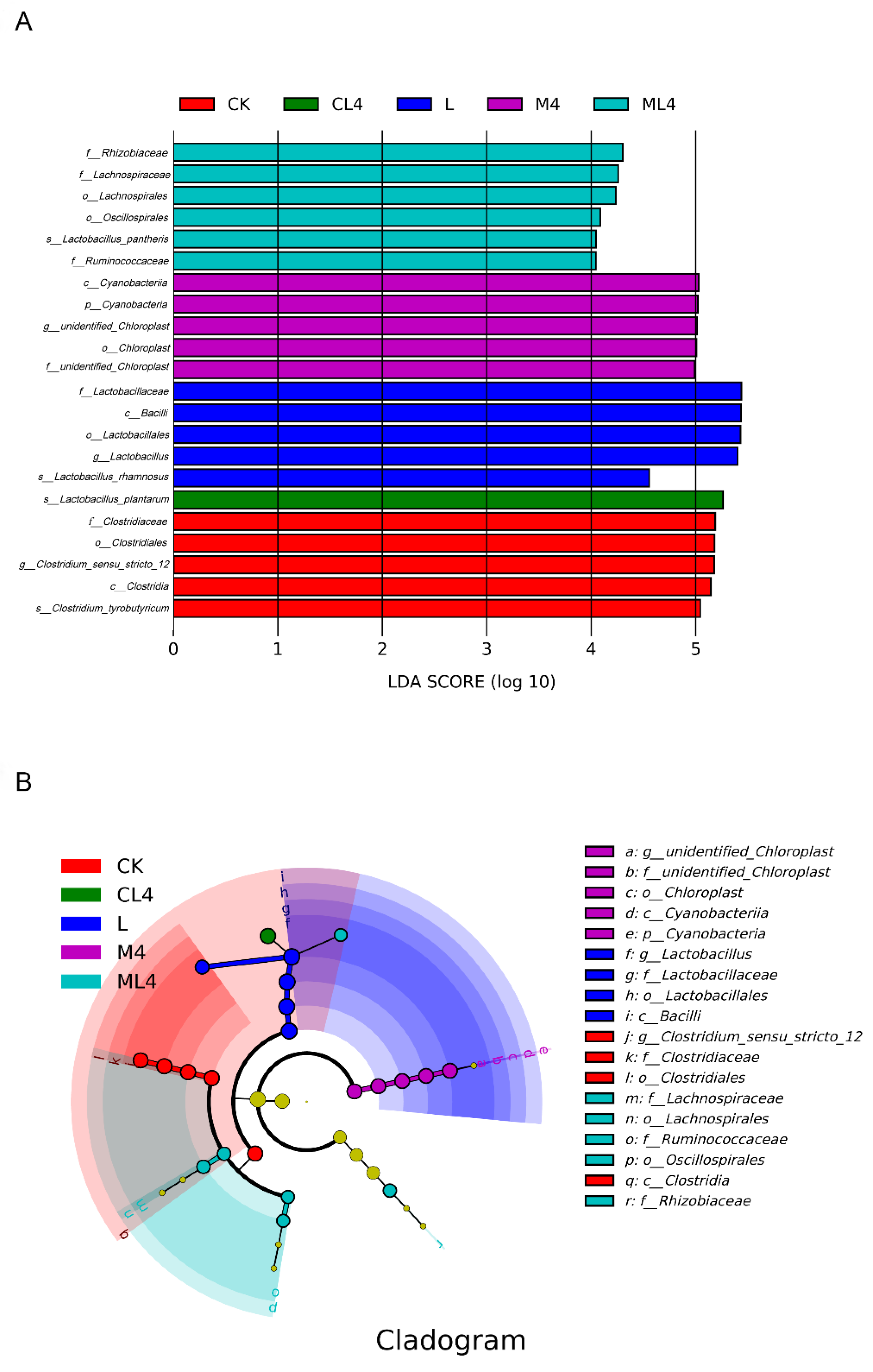 Animals 12 02260 g004