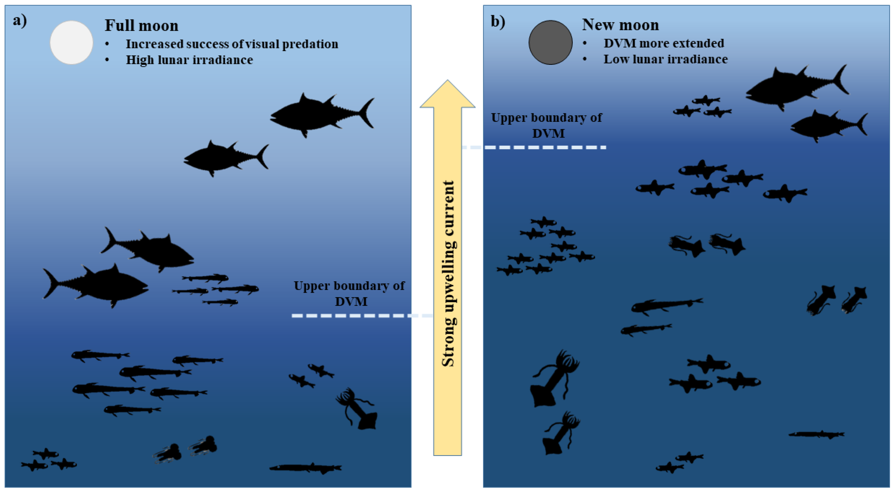 Animals 12 02261 g008