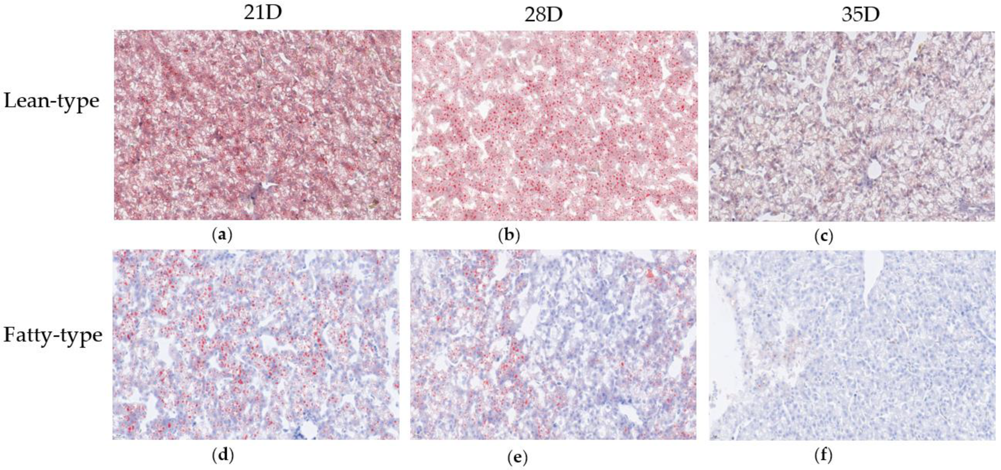 Animals 12 02268 g002