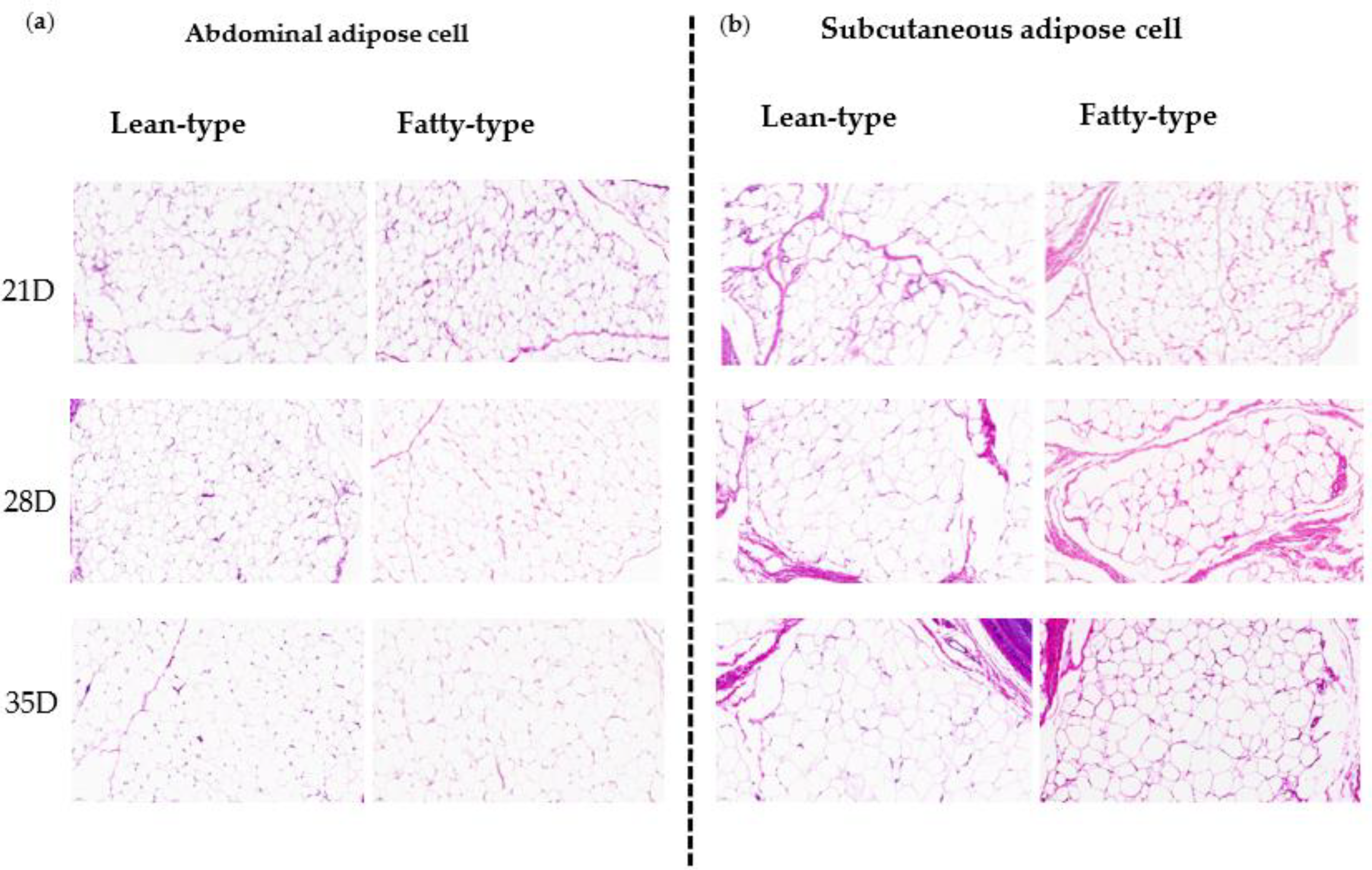 Animals 12 02268 g004