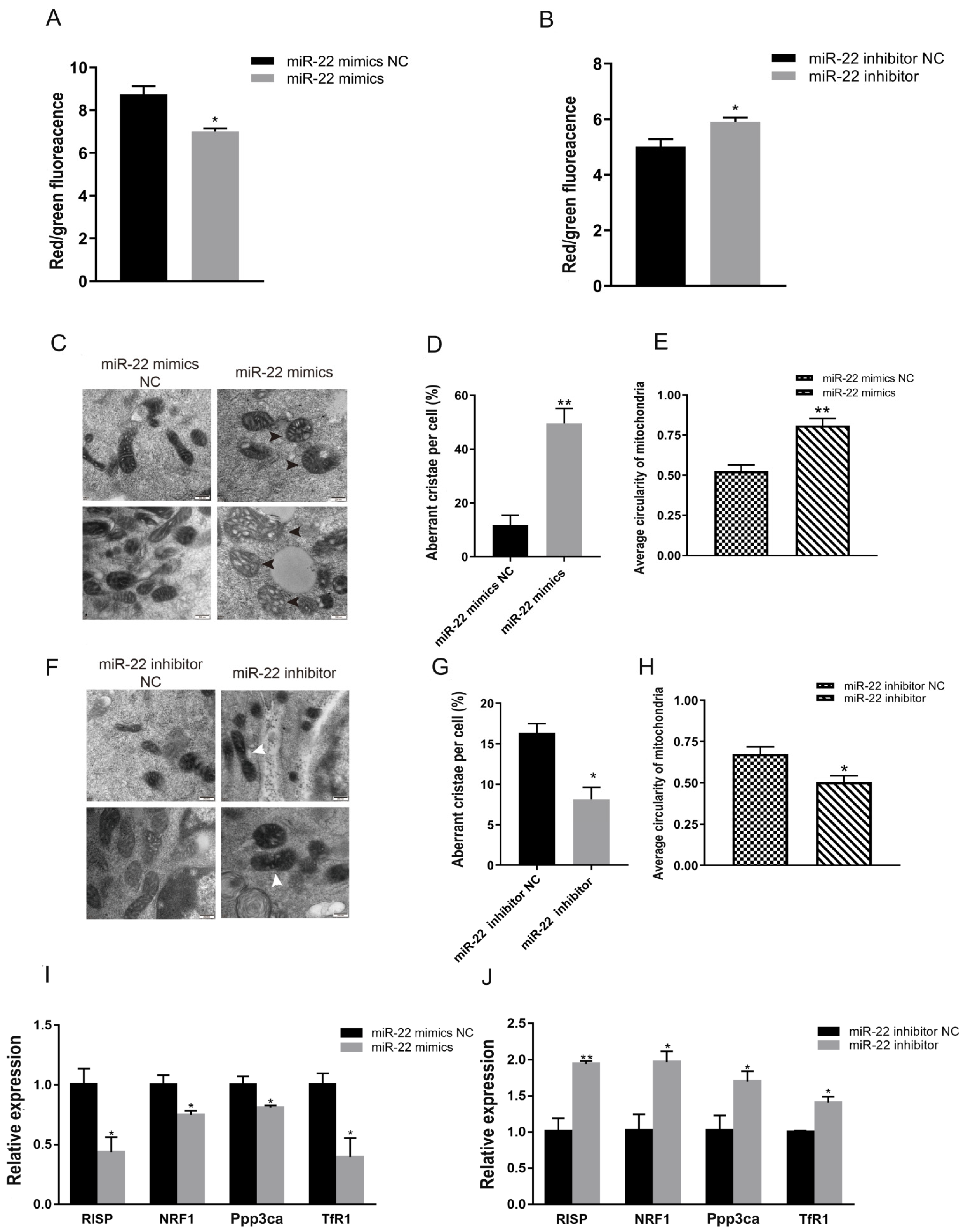 Animals 12 02274 g002
