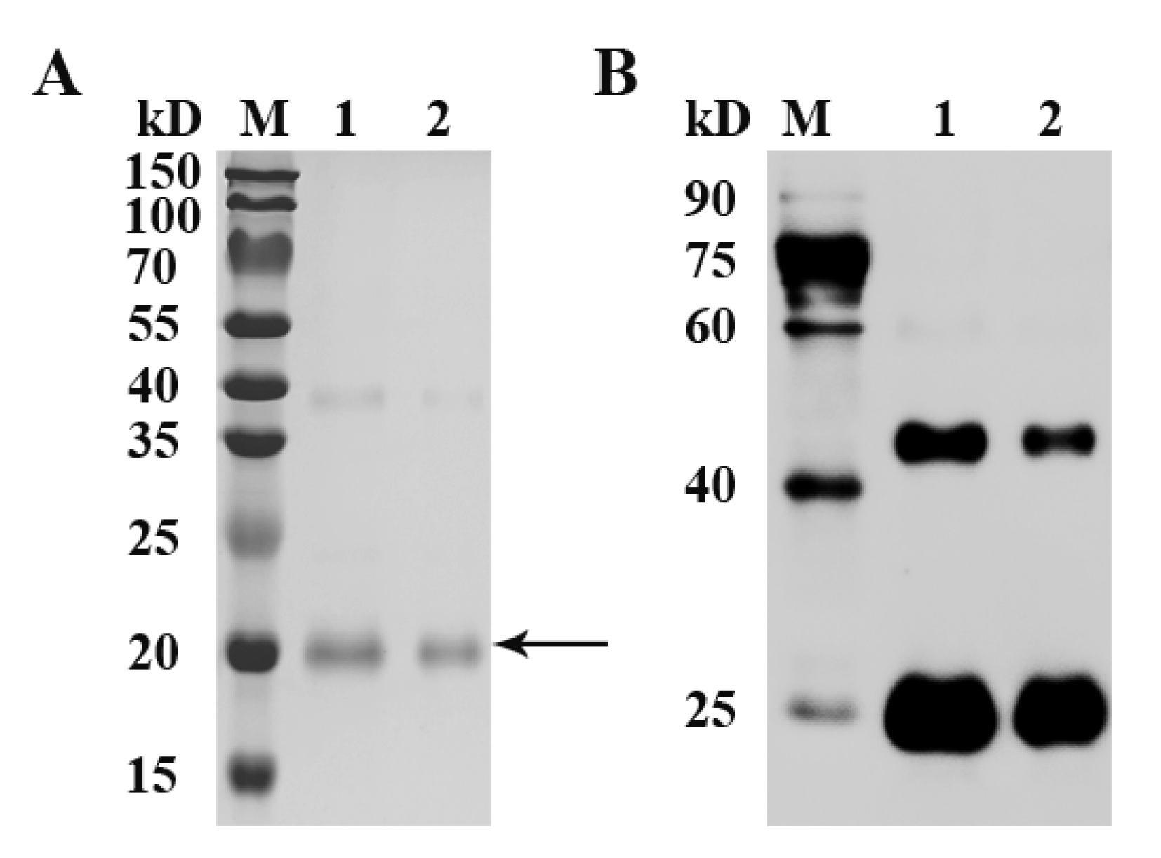 Animals 12 02275 g002 Animals 12 02275 g002