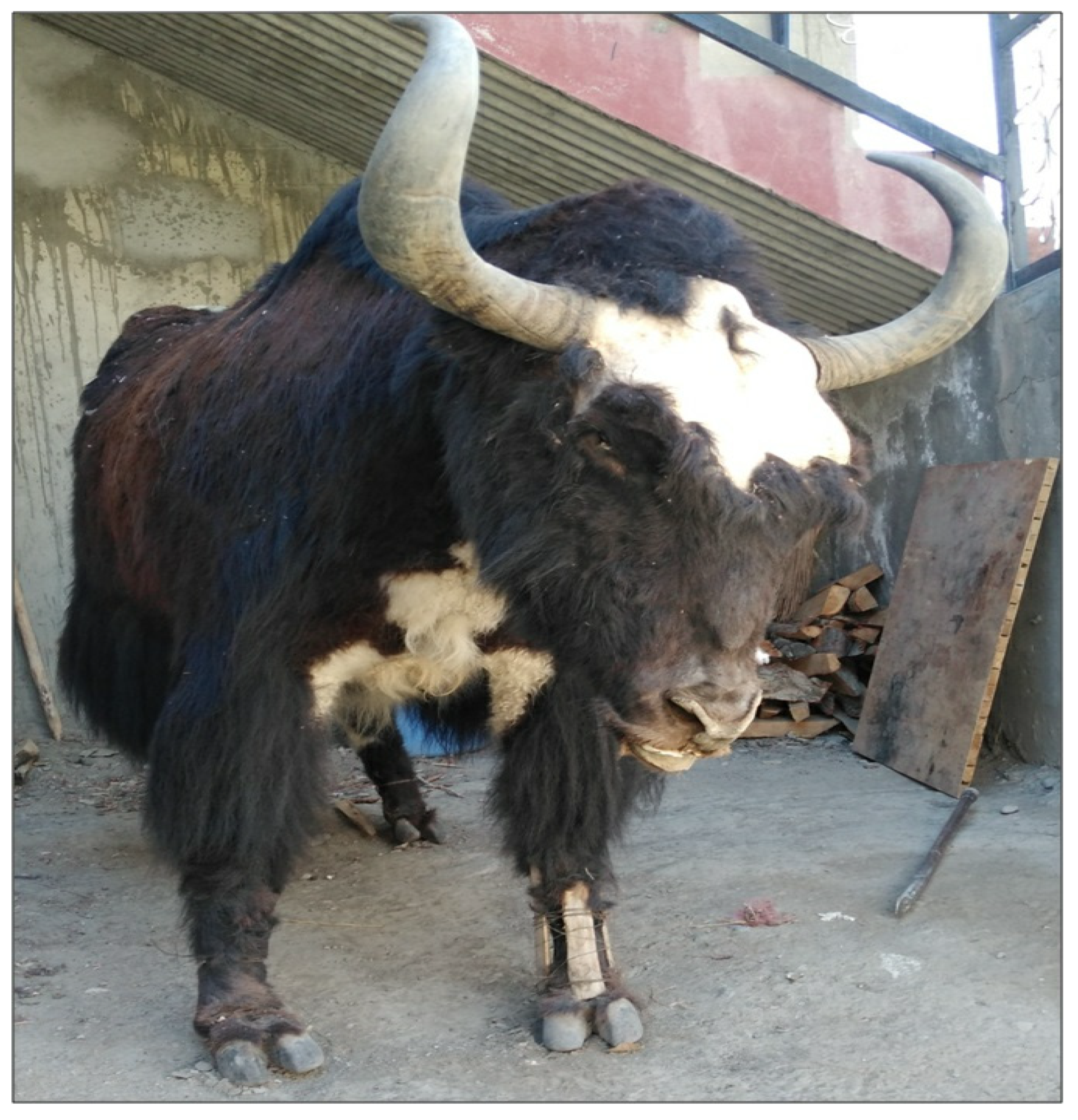 Animals 12 02276 g005 550