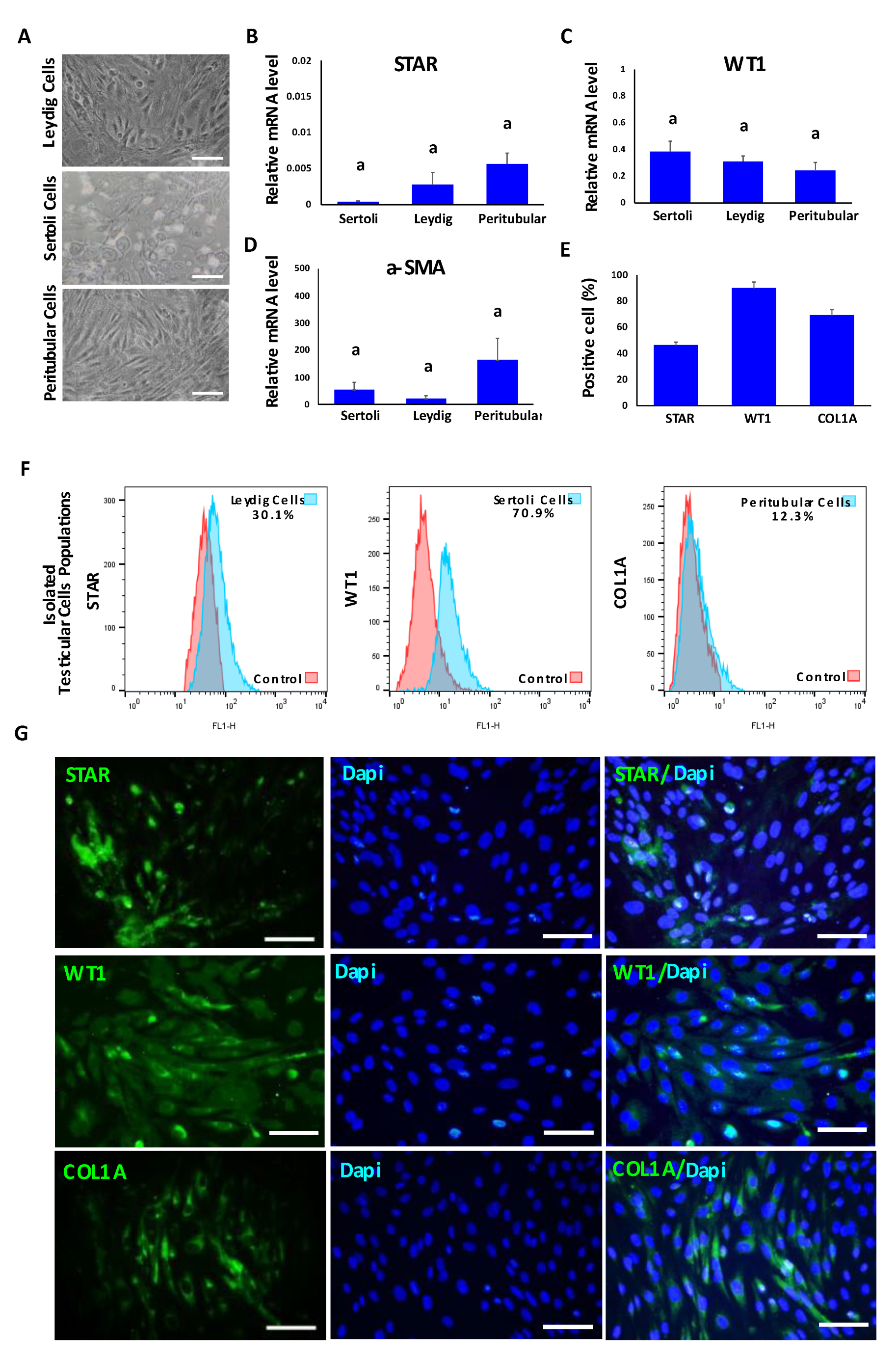 Animals 12 02283 g001 550