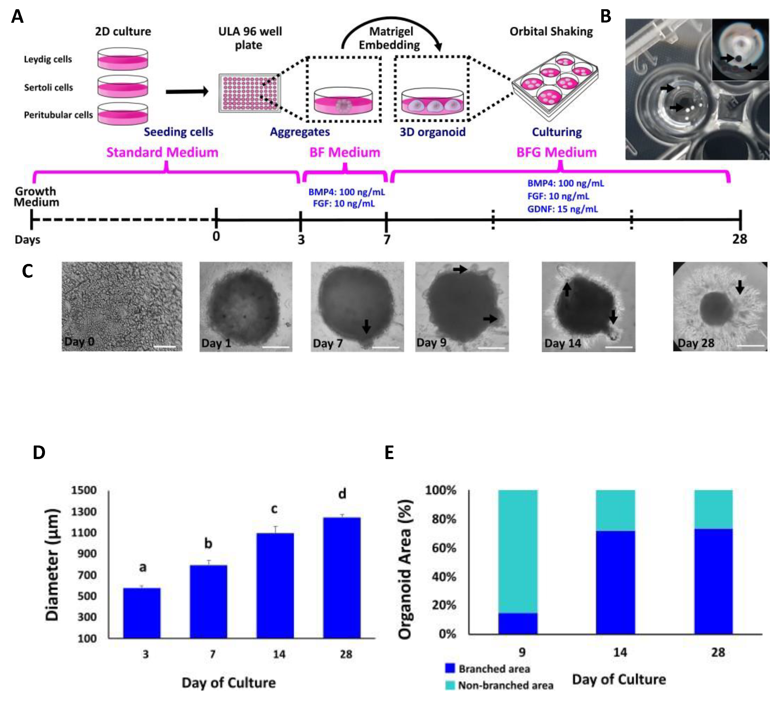 Animals 12 02283 g002 550