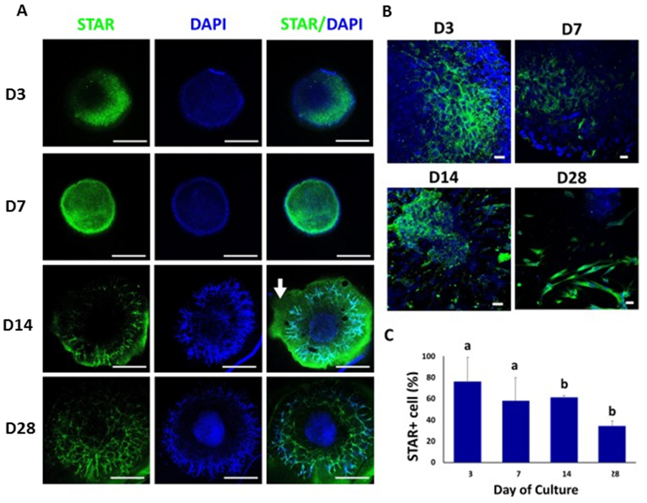 Animals 12 02283 g004 550