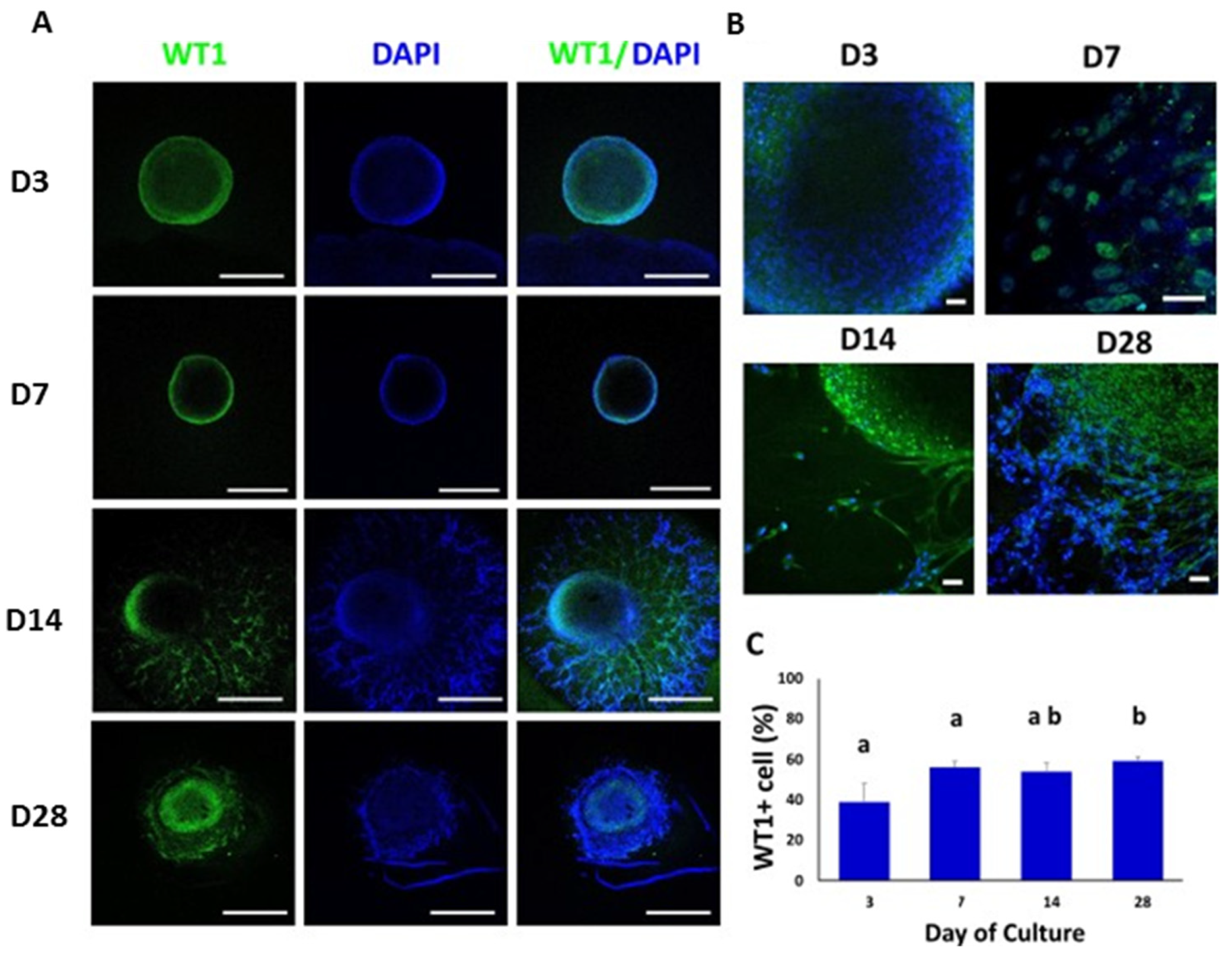 Animals 12 02283 g005 550