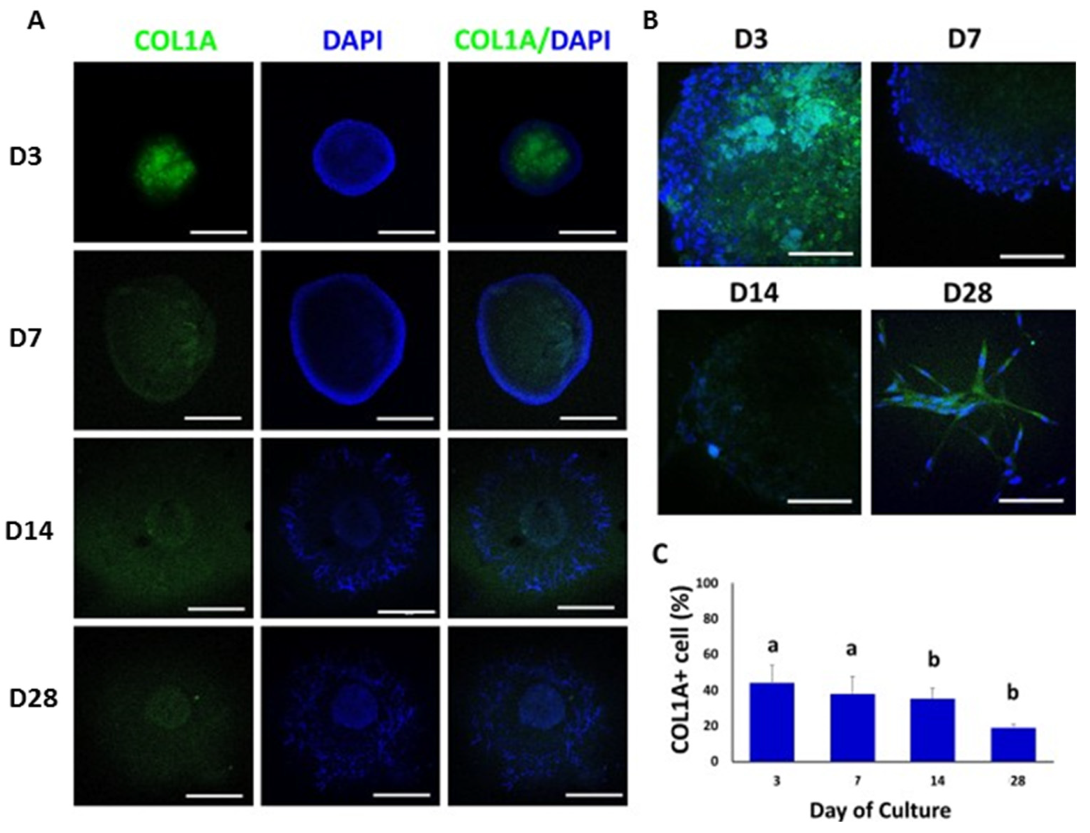 Animals 12 02283 g006 550