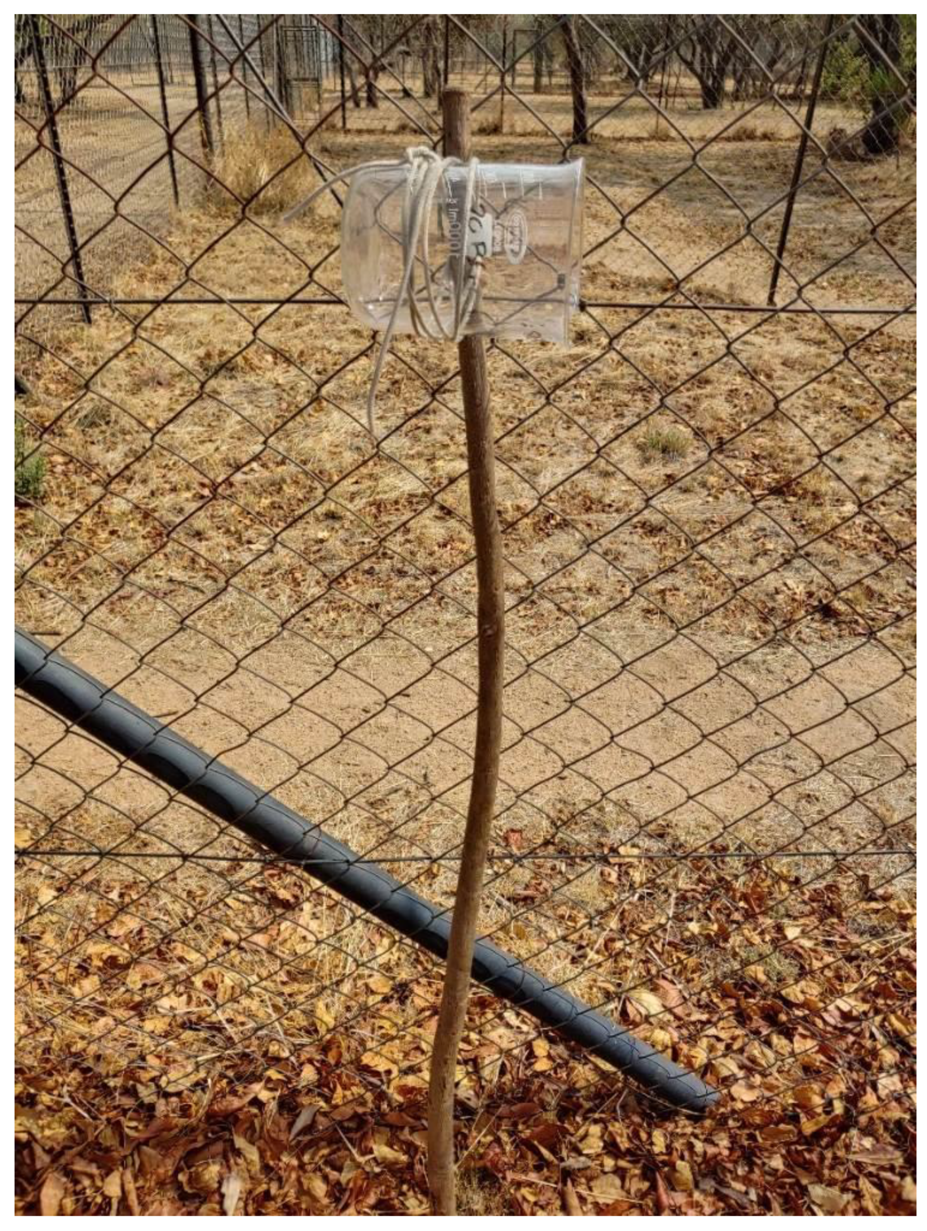 Animals 12 02284 g001 550